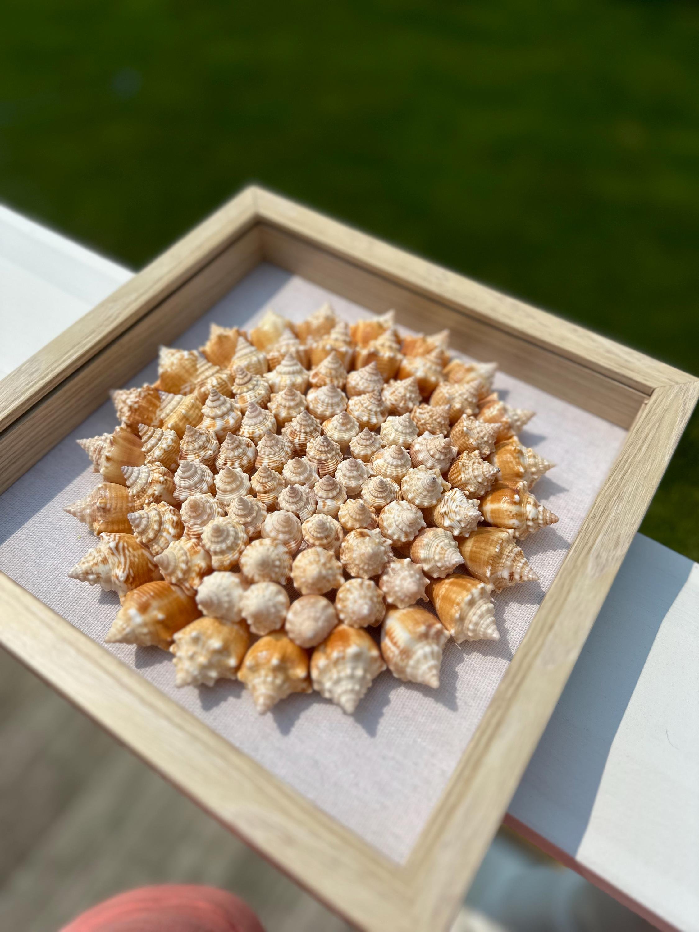 https://i.etsystatic.com/50124246/r/il/b3c6c7/6204612344/il_fullxfull.6204612344_4jrg.jpg