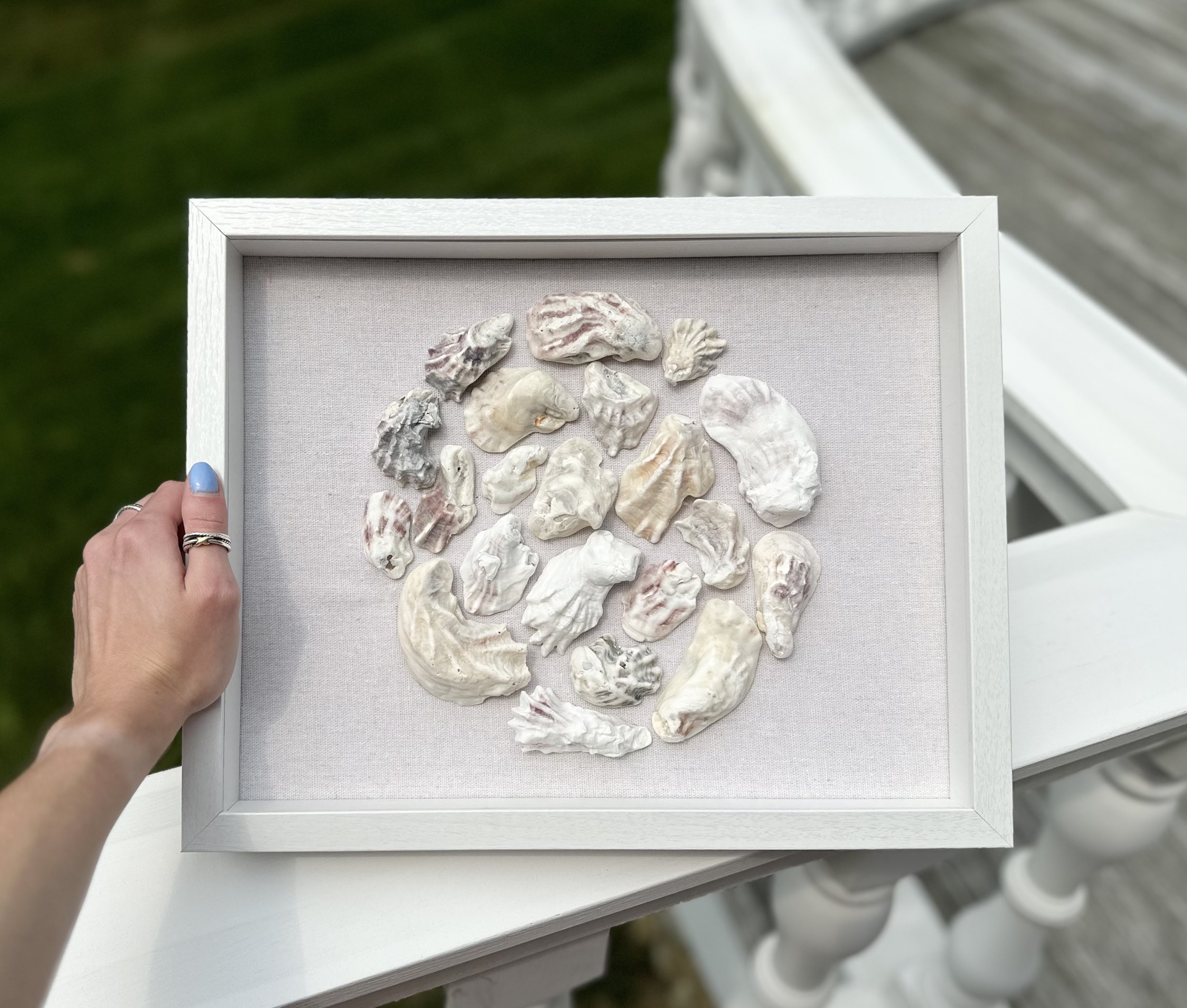 Mosaic Oyster Shell Shadowbox - Authentic Sanibel shells (SW Florida)