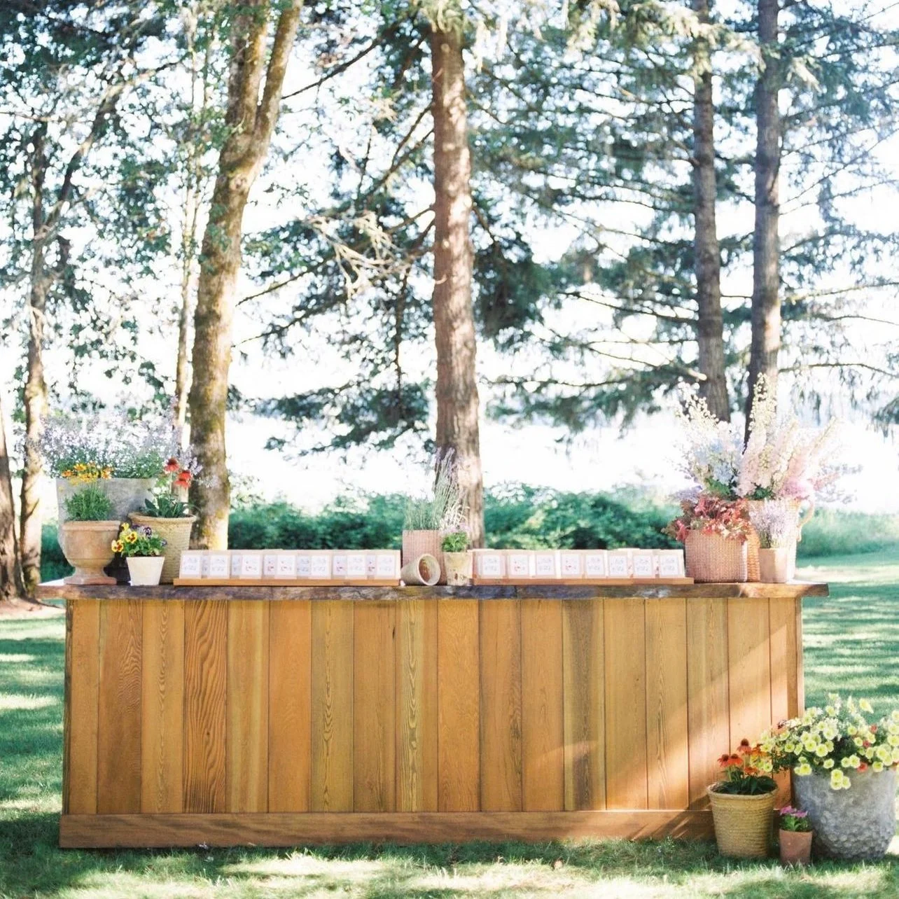 Outdoor wooden table decorated with potted flowers and small decorative cards, set in a green park with trees.
