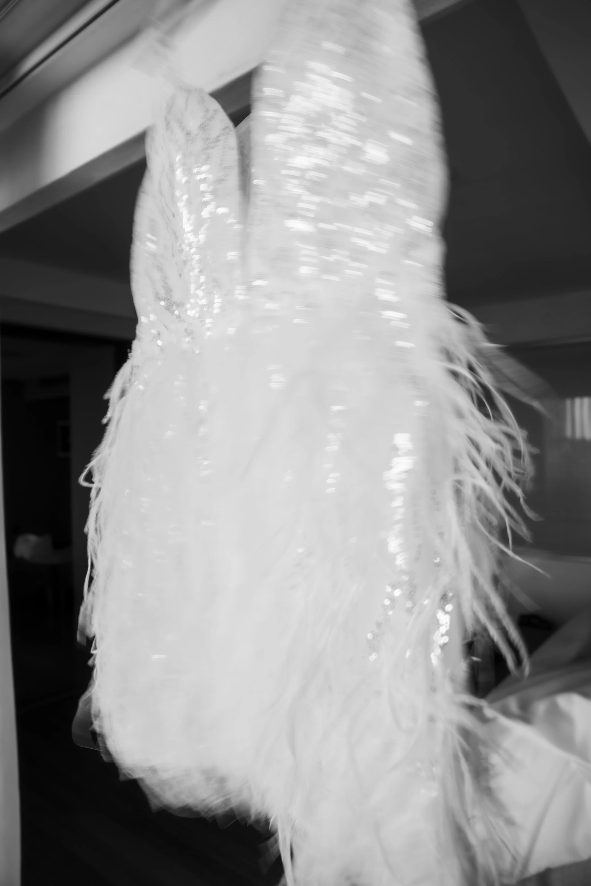 DSC08823.jpg