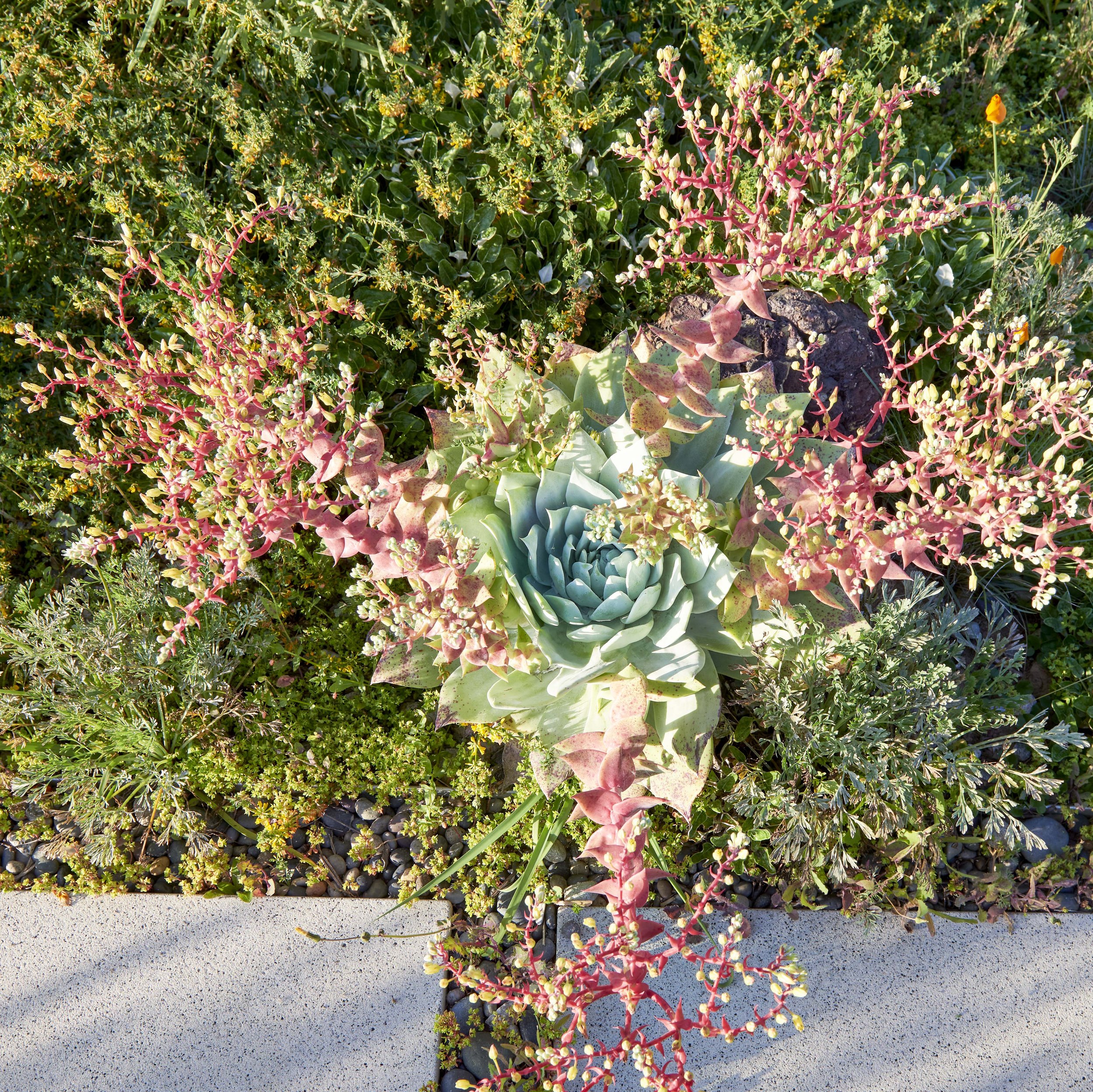 ELISABETHS 2020_DSC1160.jpg