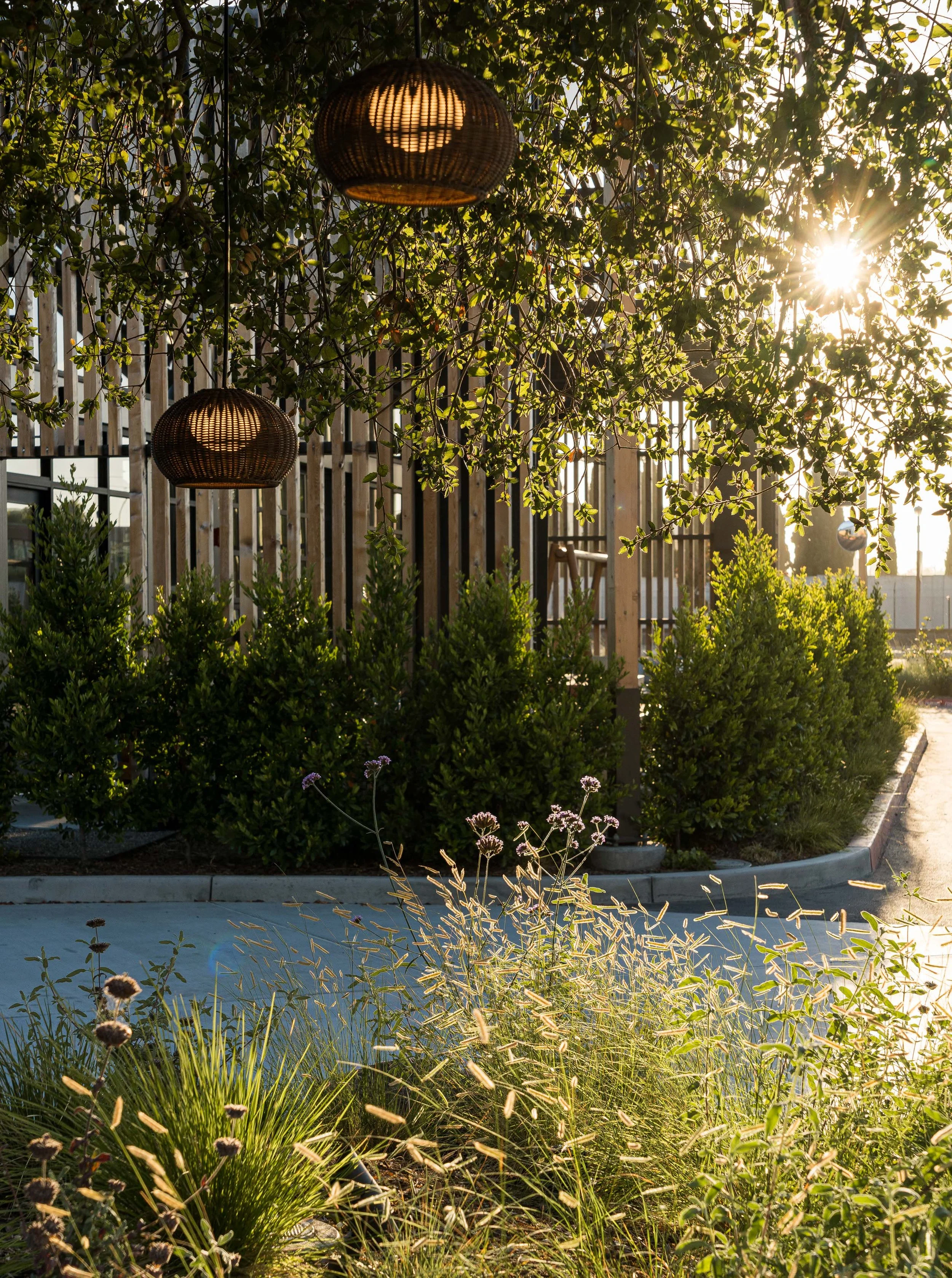 Treehouse-Previews-40.jpg