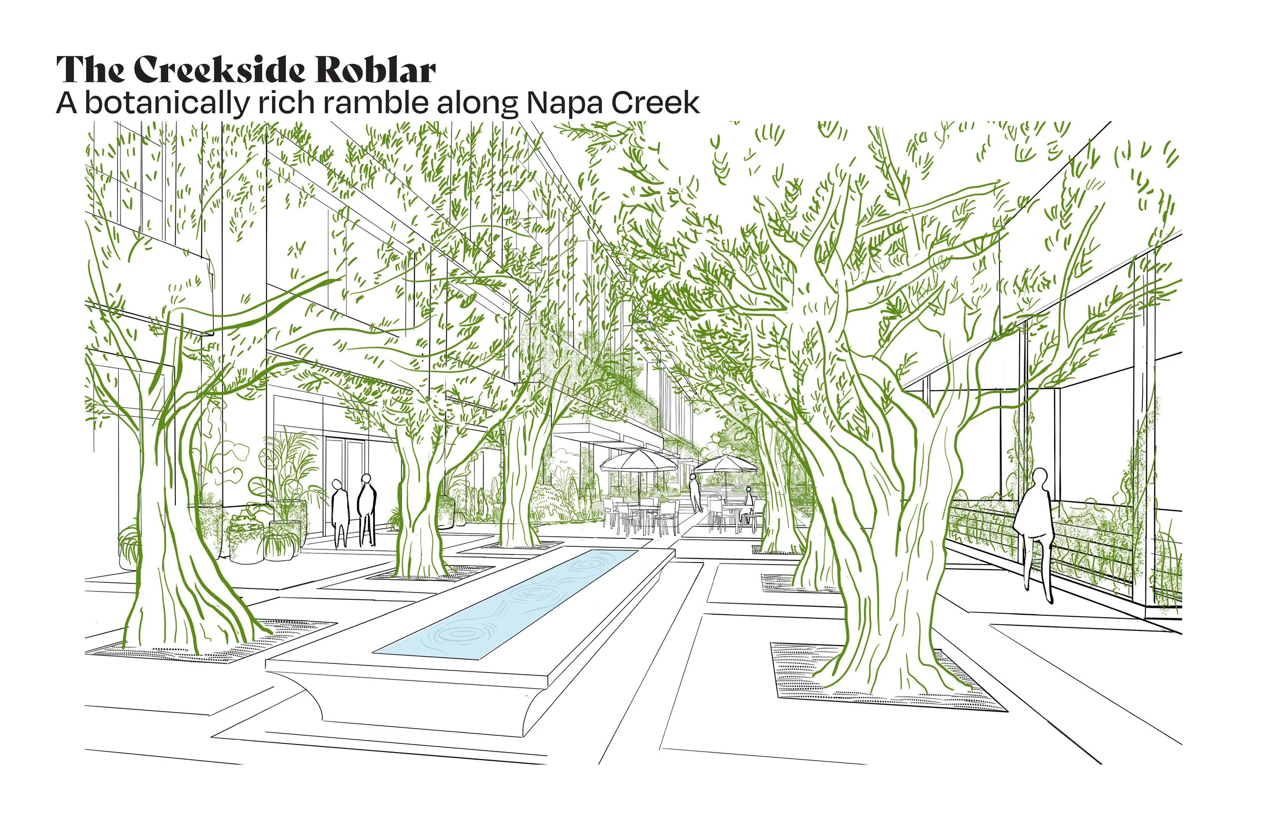 240628_Napa First Landscape edit_Page_13.jpg