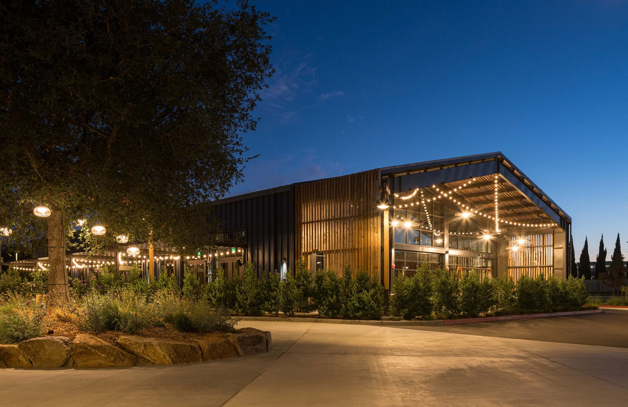 Treehouse-Previews-59.jpg