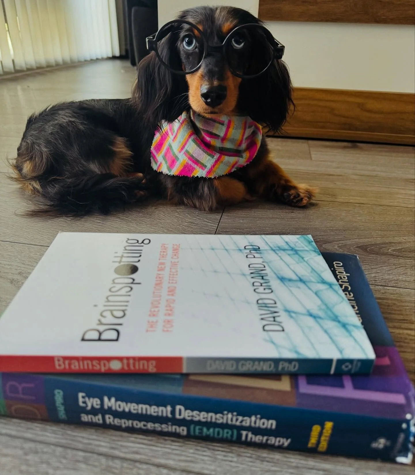🧠✨ Unlock Healing with EMDR &amp; Brainspotting

Are you feeling stuck in patterns of stress, trauma, or overwhelm? Two powerful therapies&mdash;EMDR (Eye Movement Desensitization and Reprocessing) and Brainspotting&mdash;can help you process and he