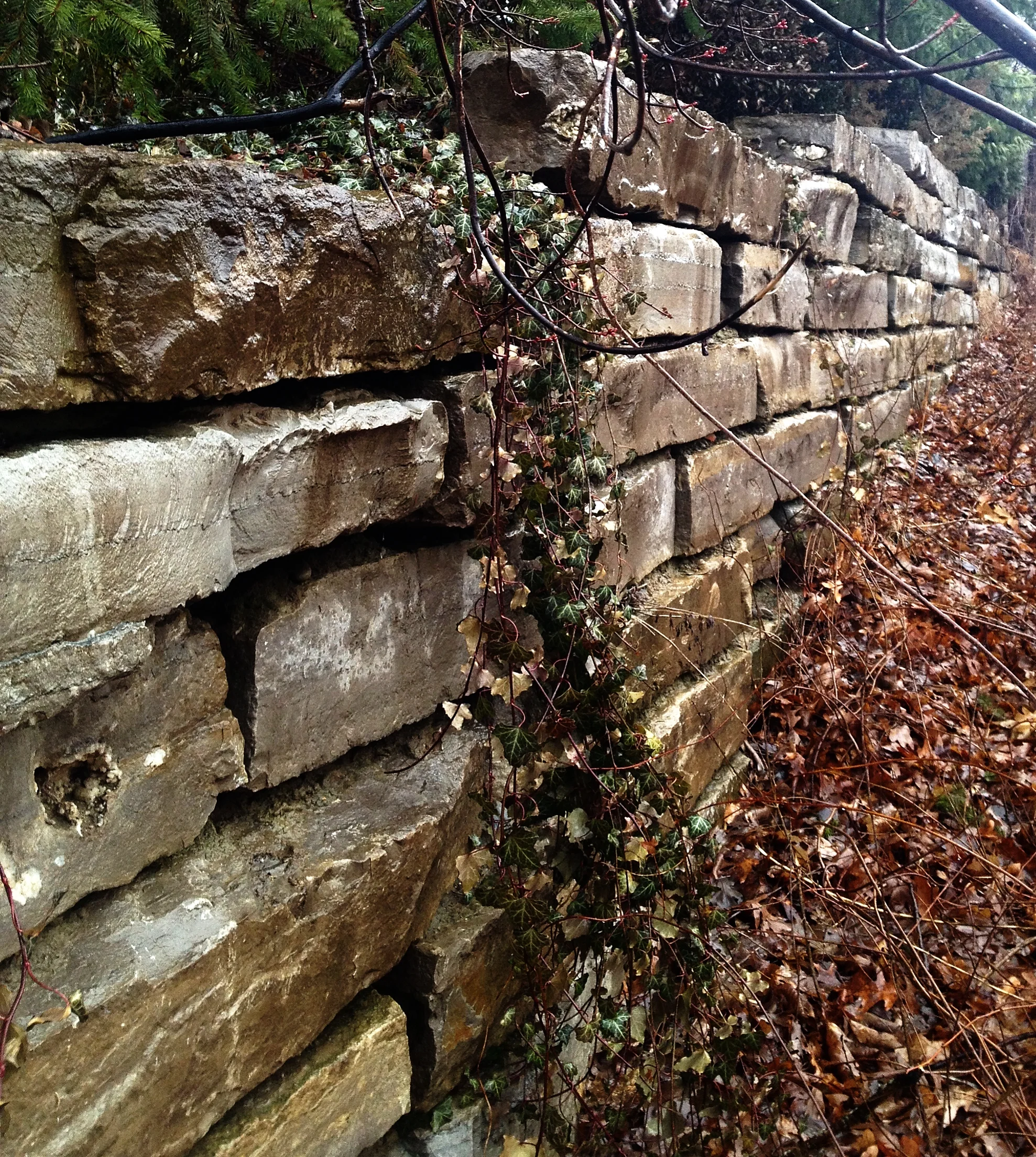 tall block retaining wall.JPG