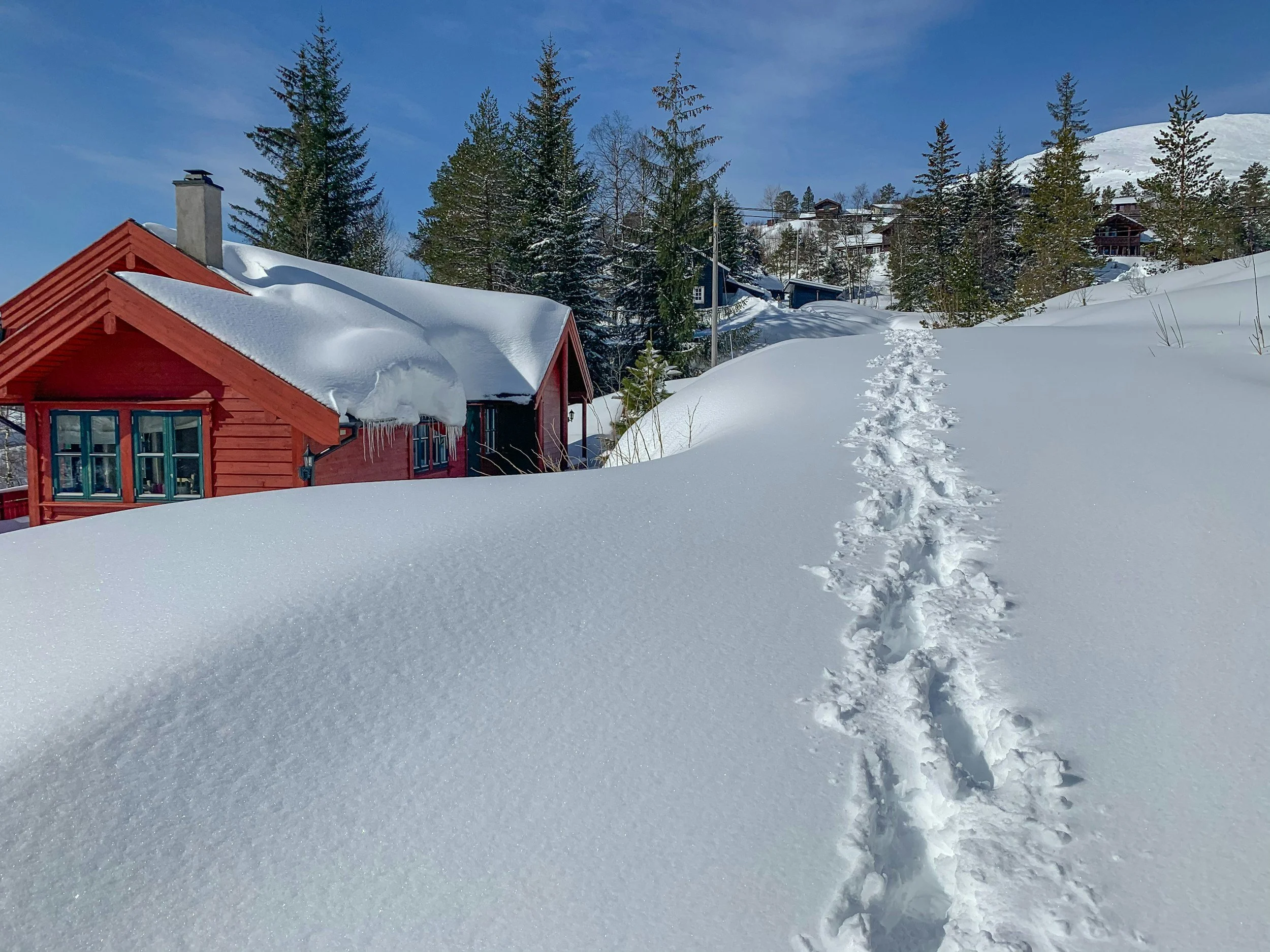 Snow-covered landscape with a red house and a trail of footprints leading up a hill, trees, and other houses in the background.