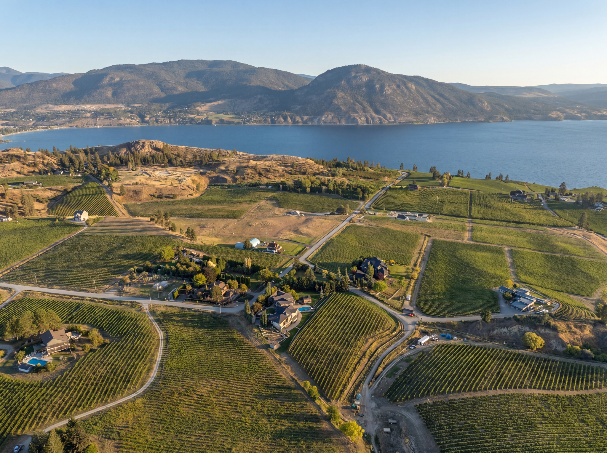DJI_0294_print.png