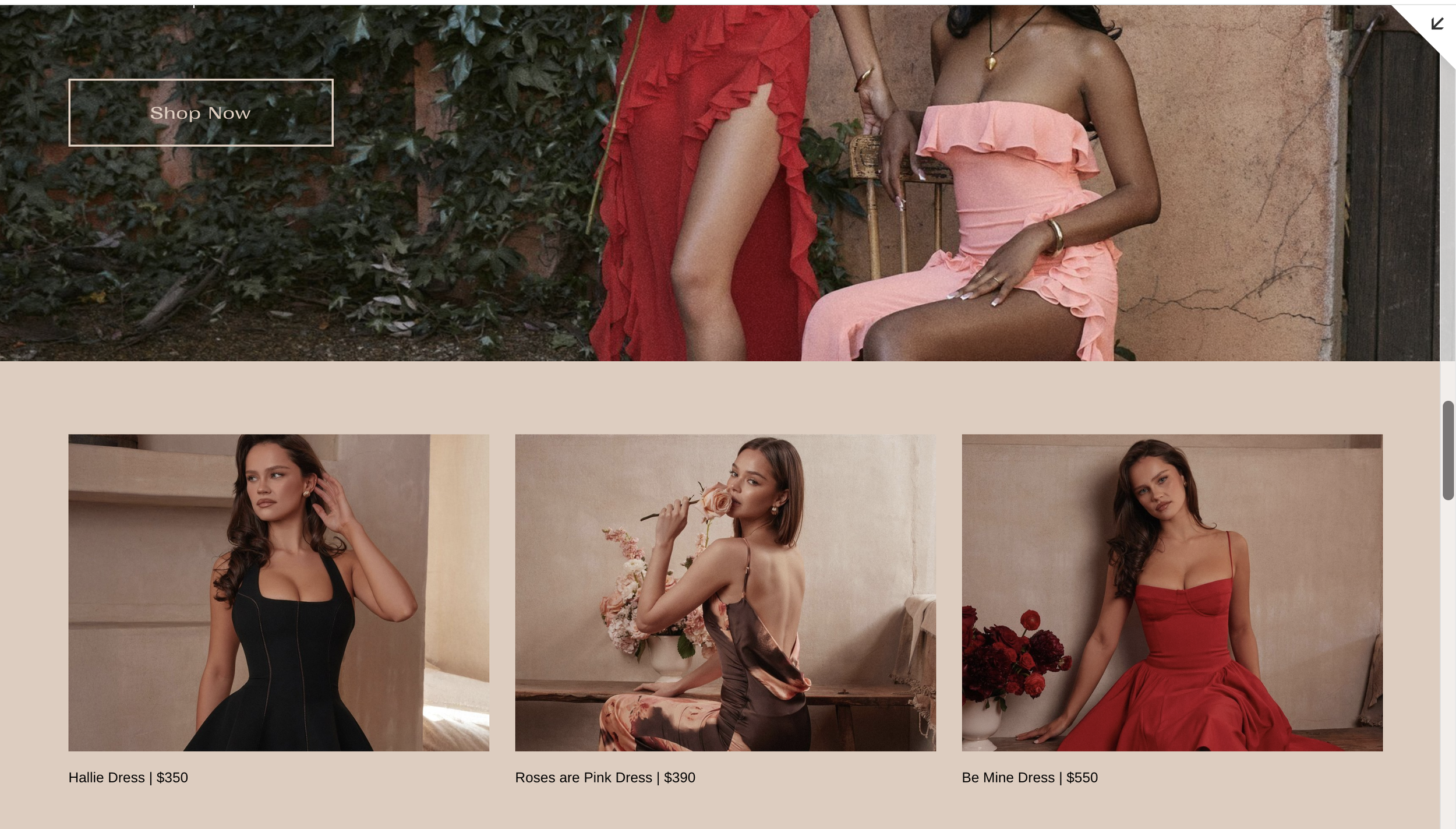 Screenshot 2025-05-01 at 3.06.40 PM.png