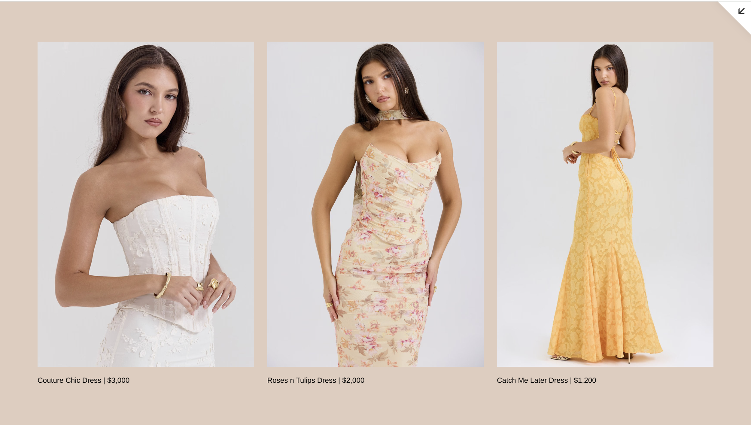 Screenshot 2025-05-01 at 3.17.55 PM.png