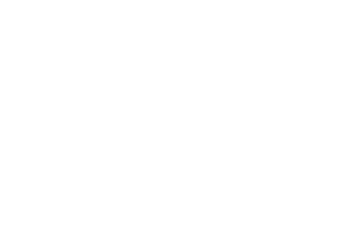 follozesite.png