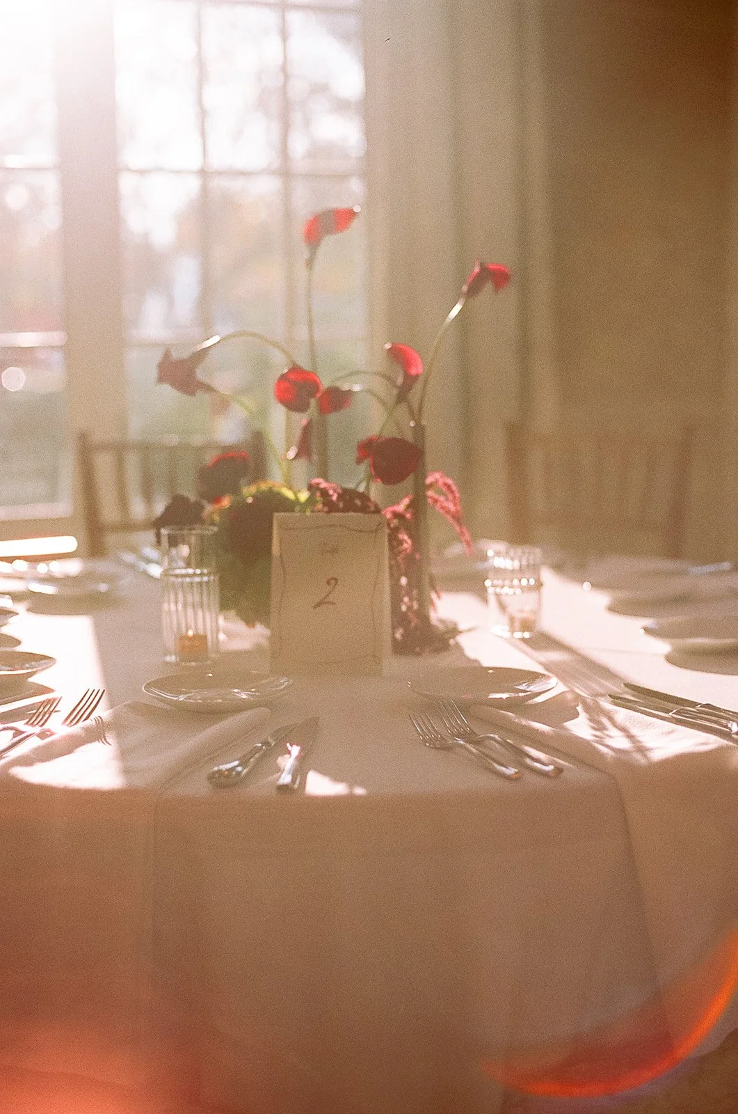 How to Get Married in Cleveland Ohio | Diana Galay Photo