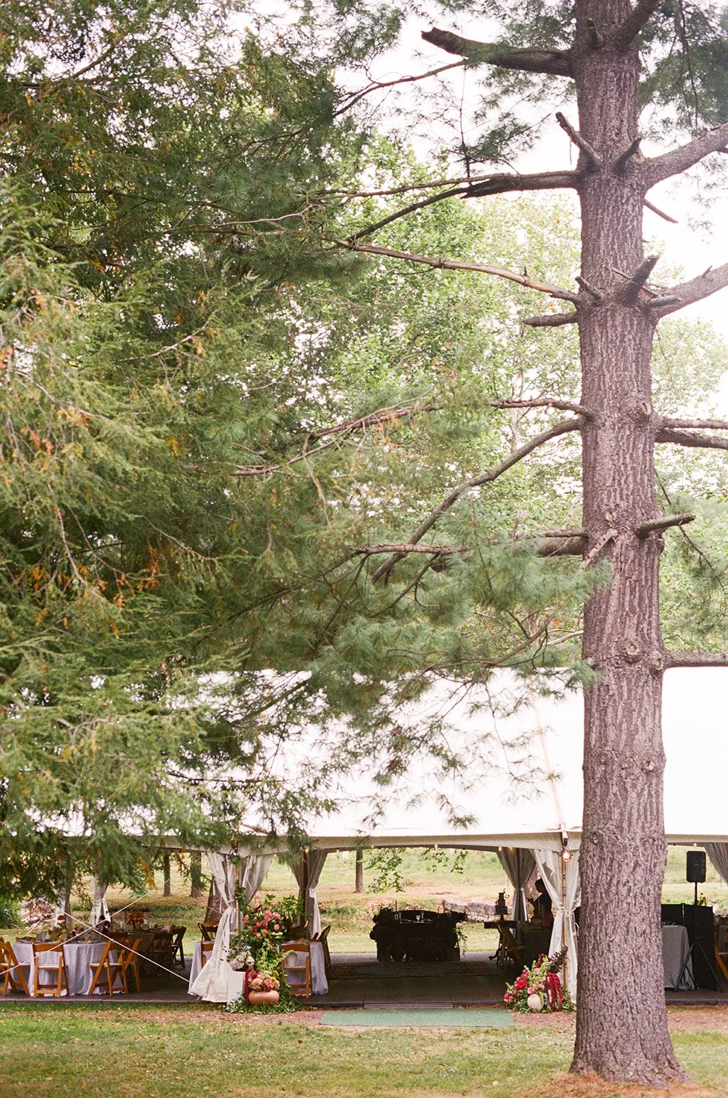 Unique Wedding Venues Cleveland OH | Diana Galay Photo