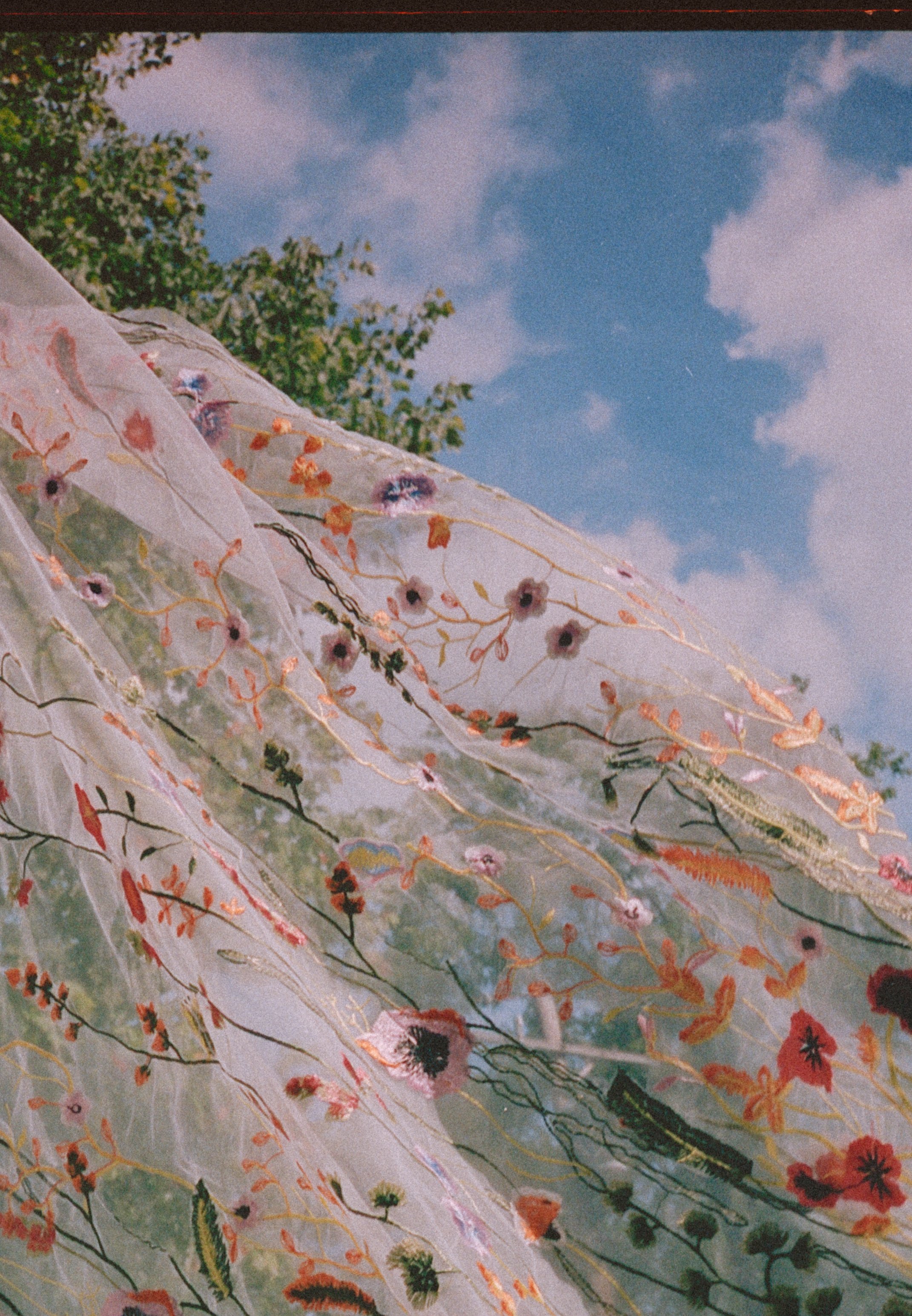 Untitled_884.jpg