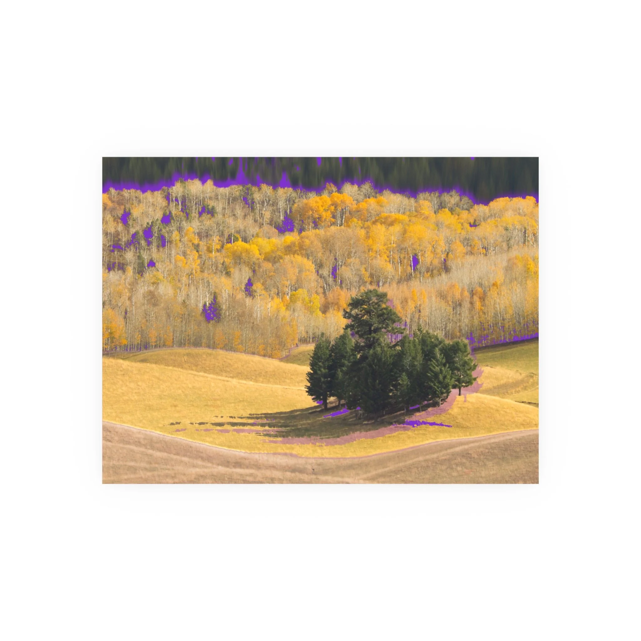 Fall Dissolve – Archival Print