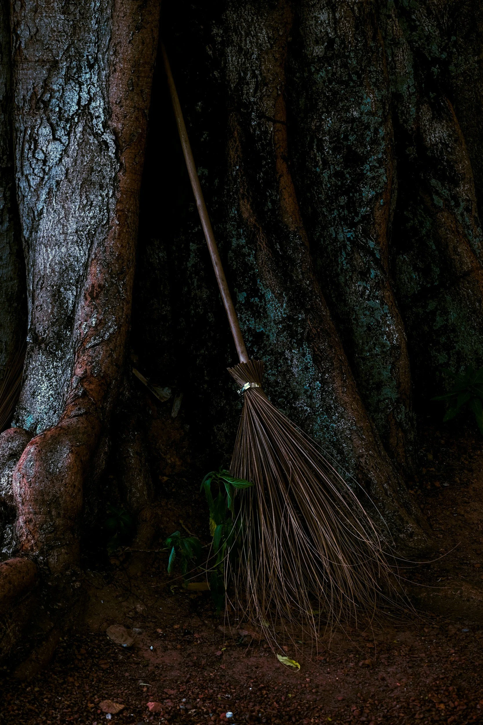 Book Review: Ambrosia's Book of Witch Flight