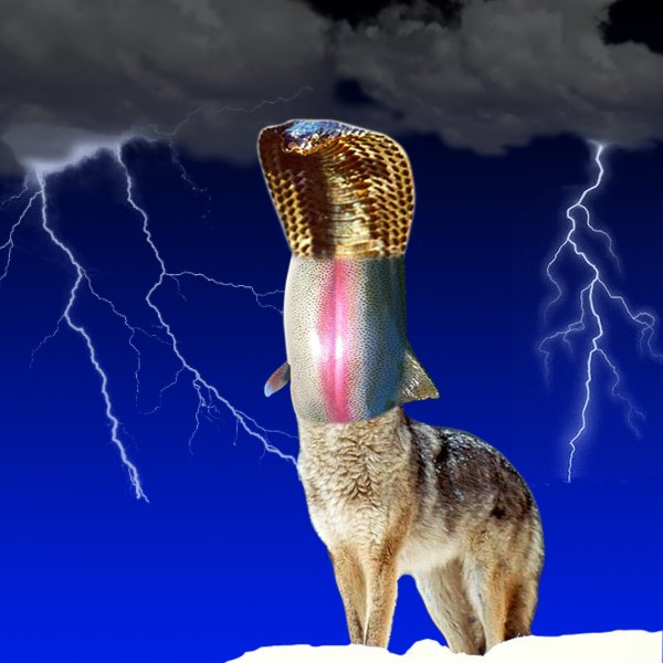 wolf_trout_cobra2_web_big.jpg