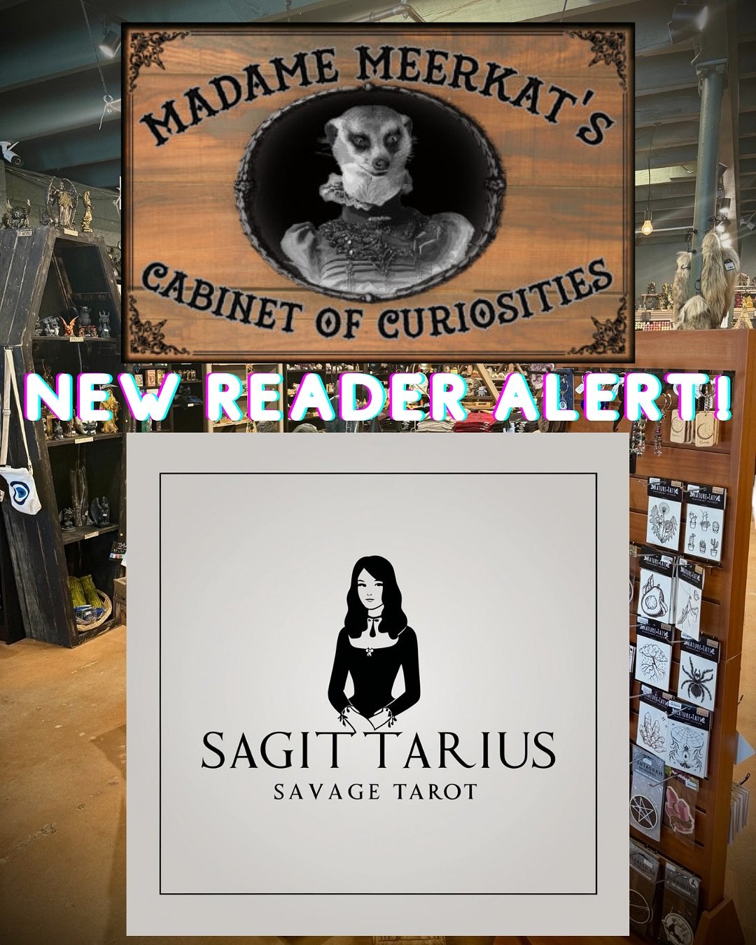 I’m happy to announce that I will have yet another place that I will be able to meet with you 1-on-1 in person for tarot readings! Madame Meerkat’s Cabinet of Curiosities has been a favorite spot of mine to visit every time I visited Wilm