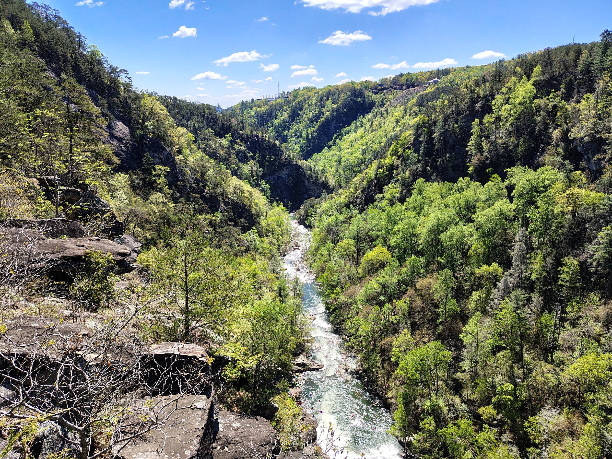 Chattahoochee National Forest, Georgia. 