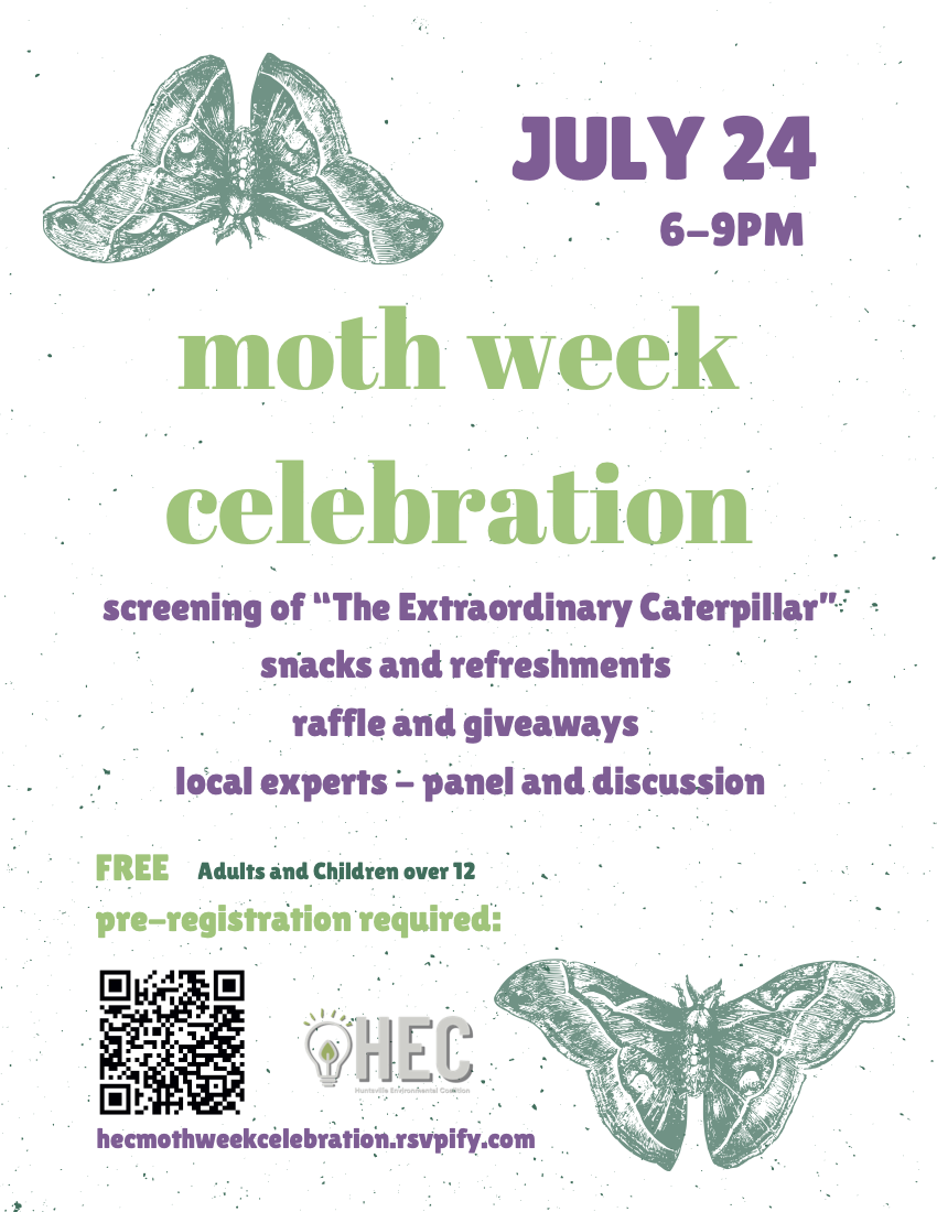 Moth Week Celebration