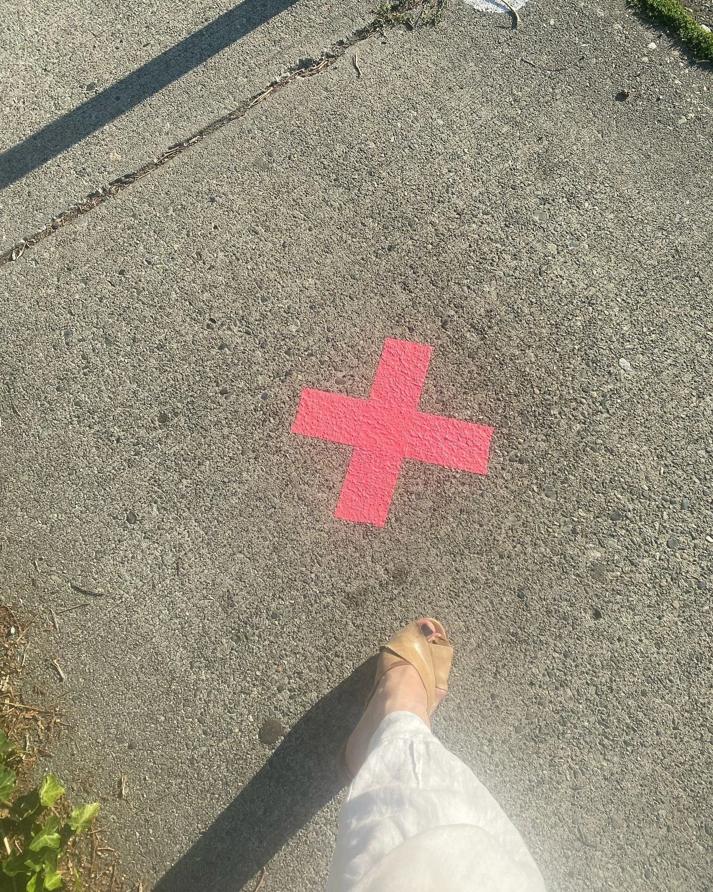 X marks the spot&hellip;.to LOVE &hearts;️ @bigloveball @wendywilliamswatt 

thank you, Wendy, William and Madison for making a Sunday stroll sublime!