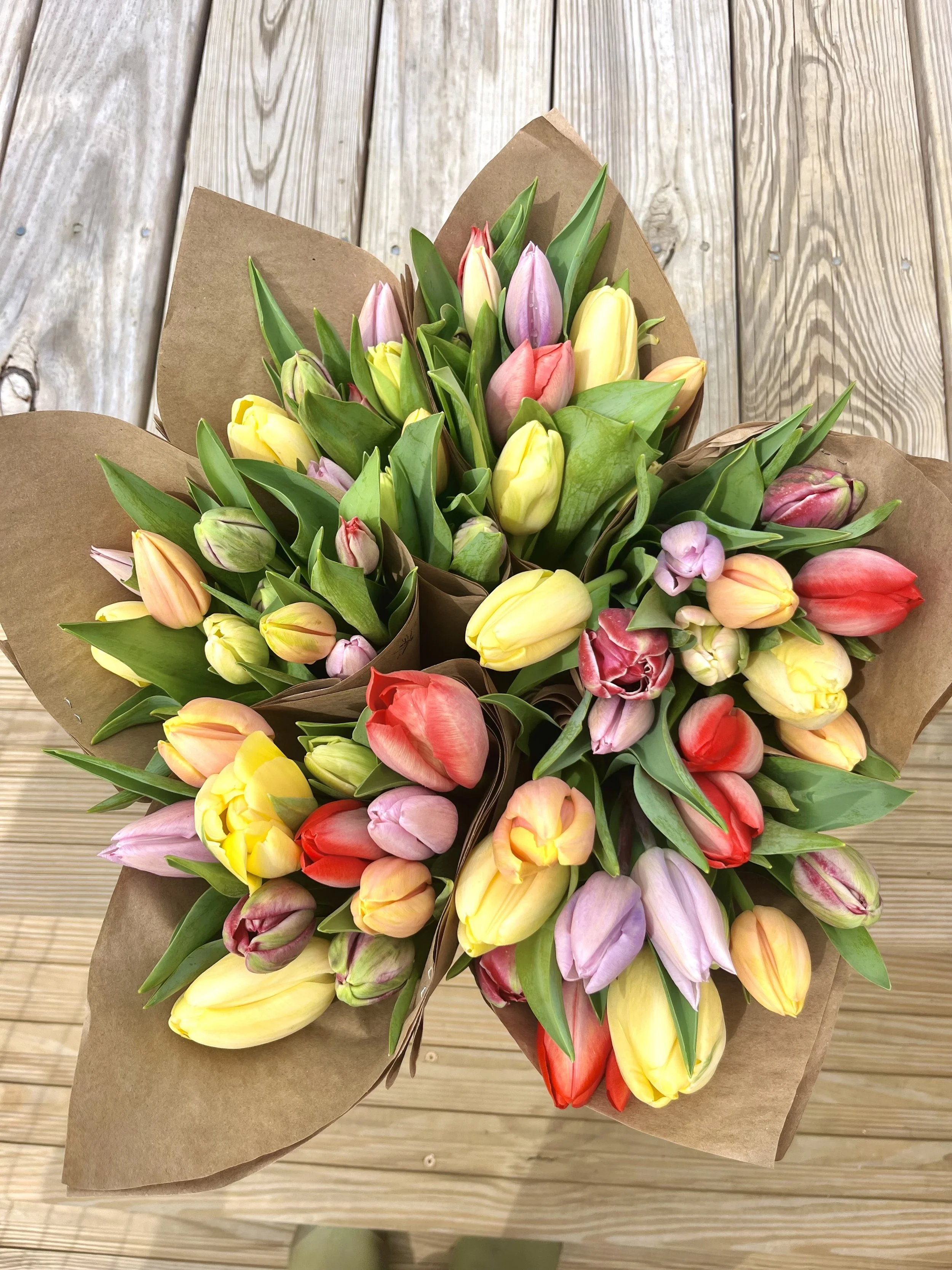 Tulip Subscription