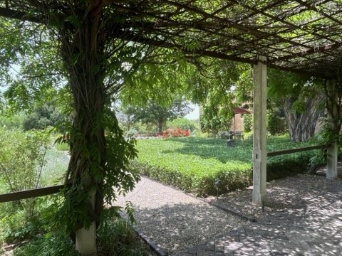 IMG_0631.jpg