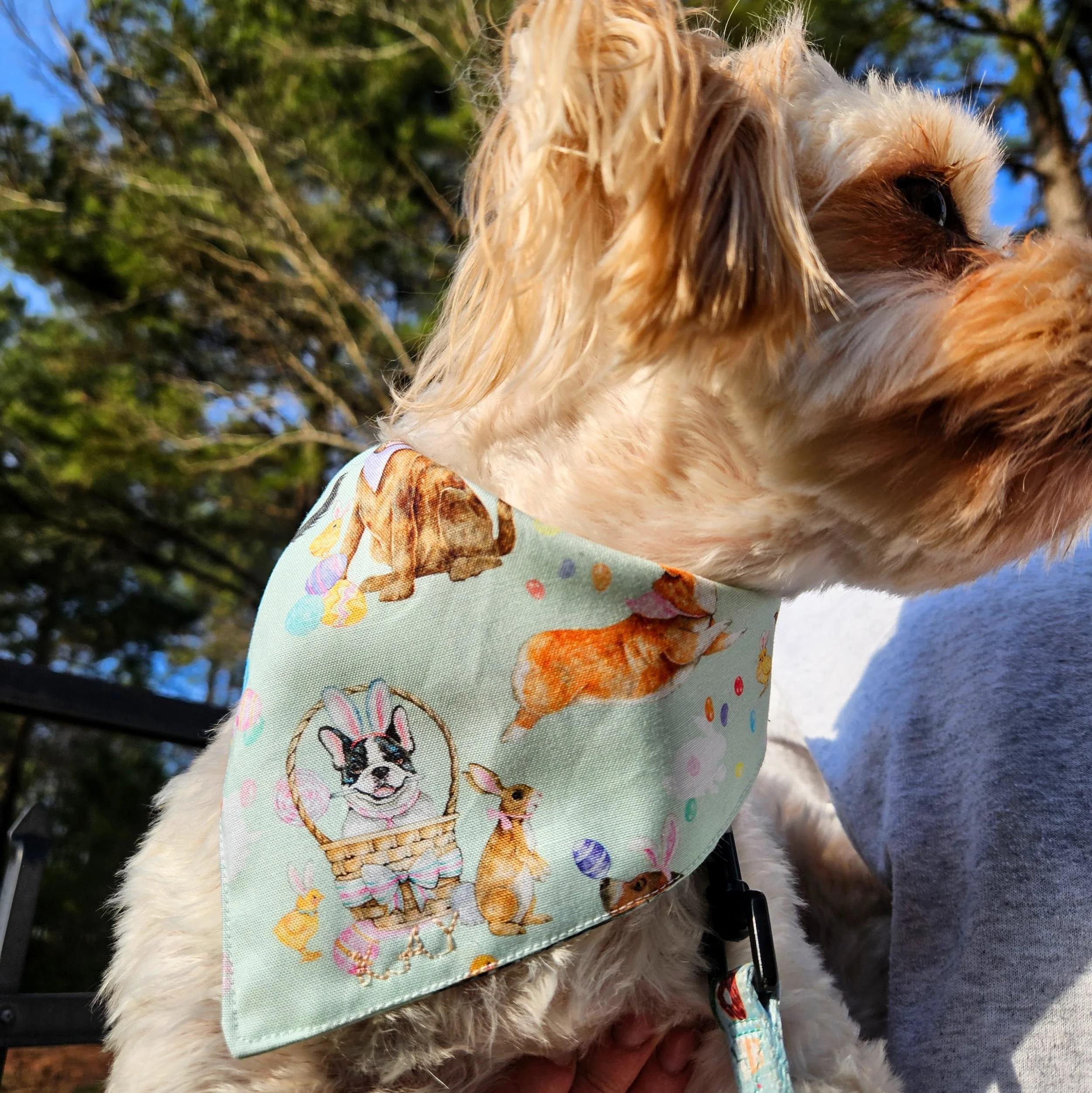 Pet Bandanas