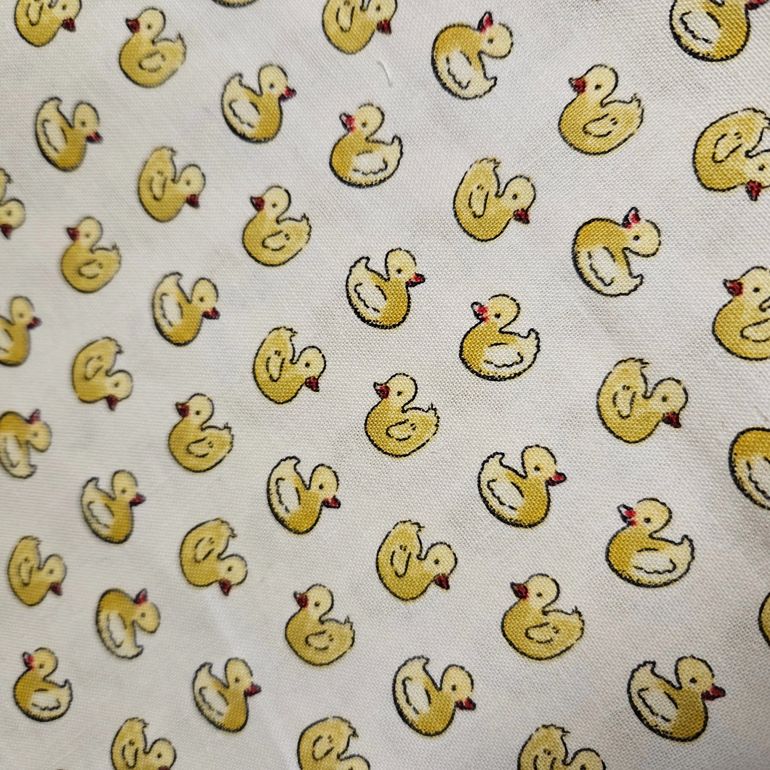 20260312_143254.jpg