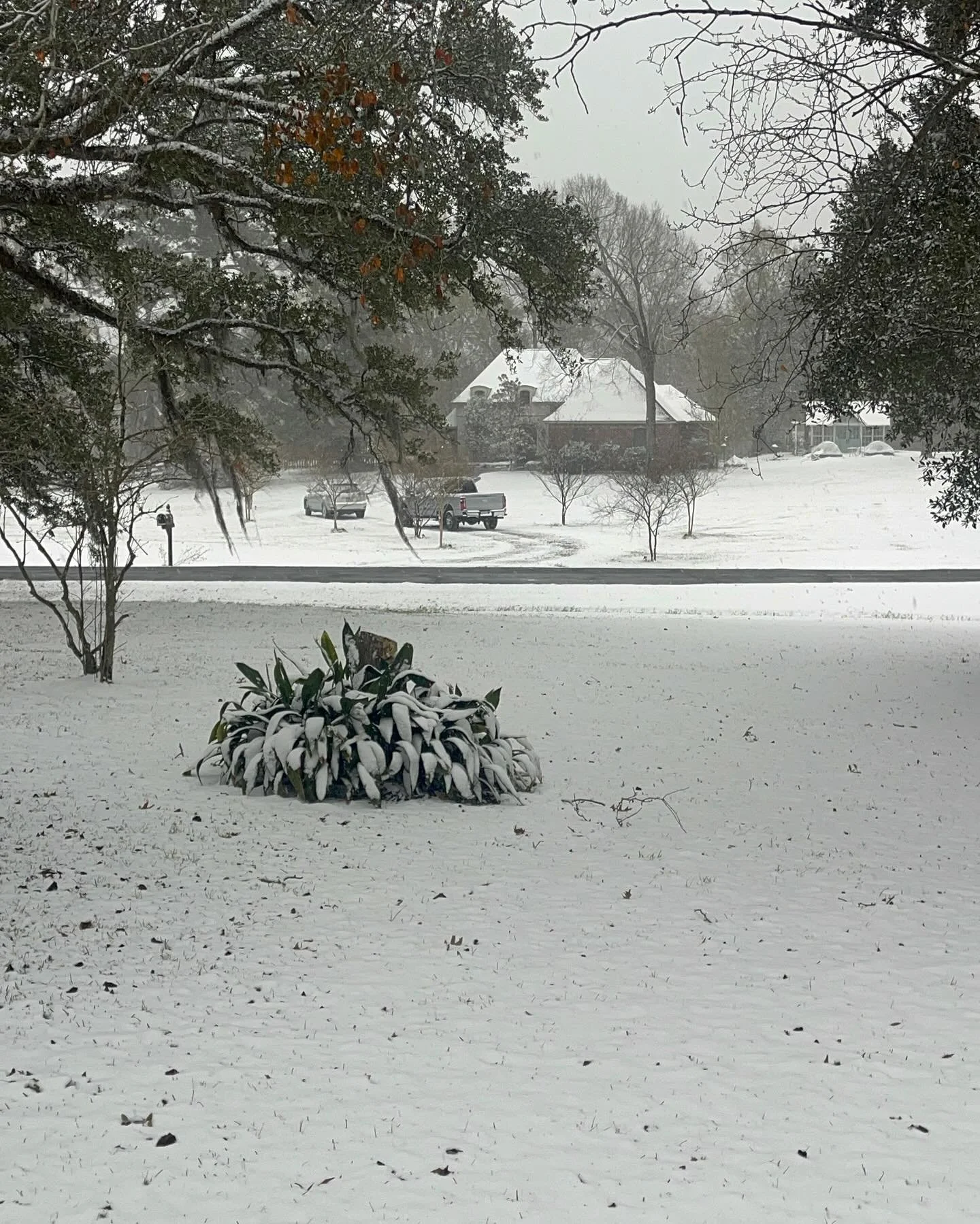 It was magical&hellip;.6-7 inches in Central!  Gus was not a fan for sure!!!
