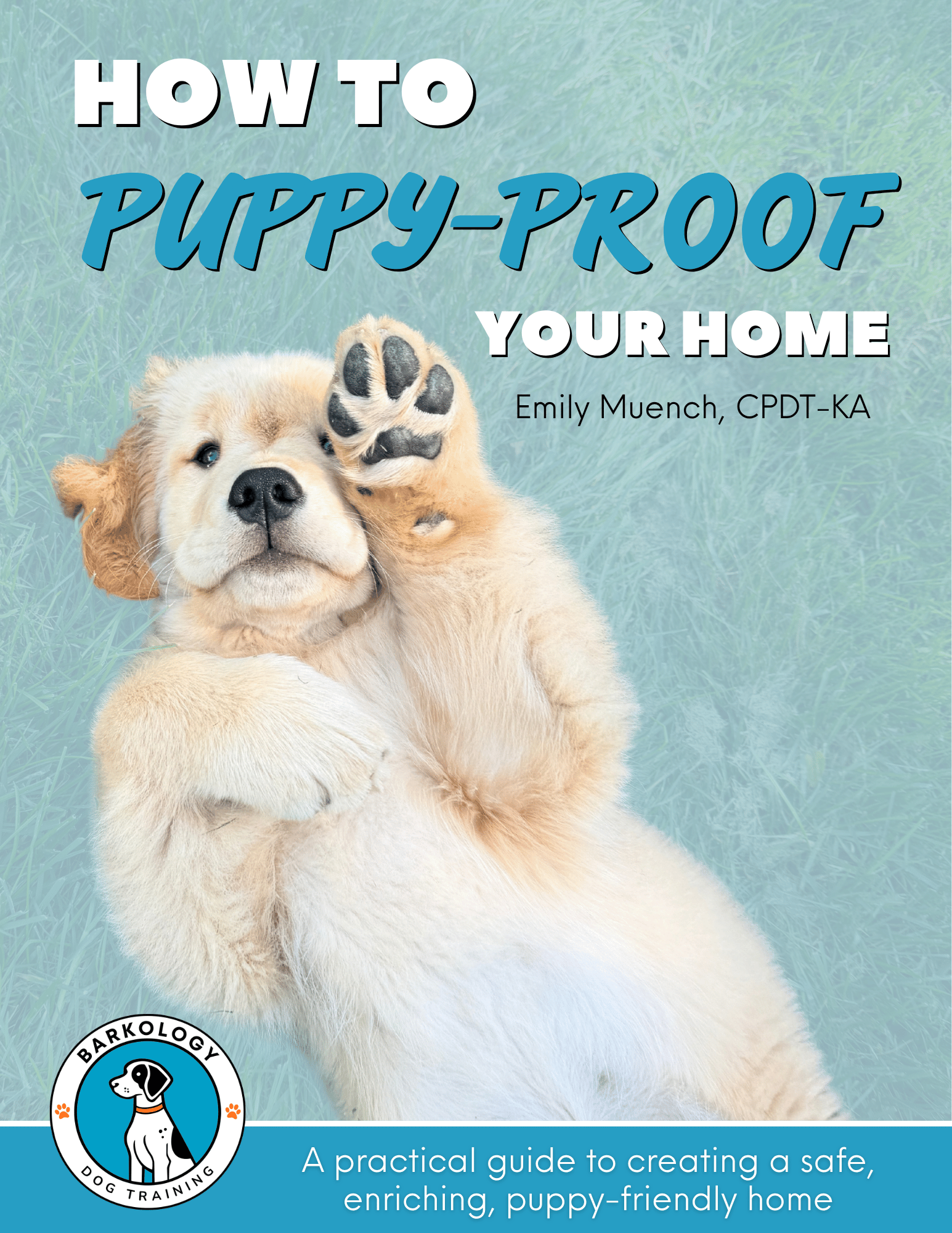 How to Puppy Proof Your Home