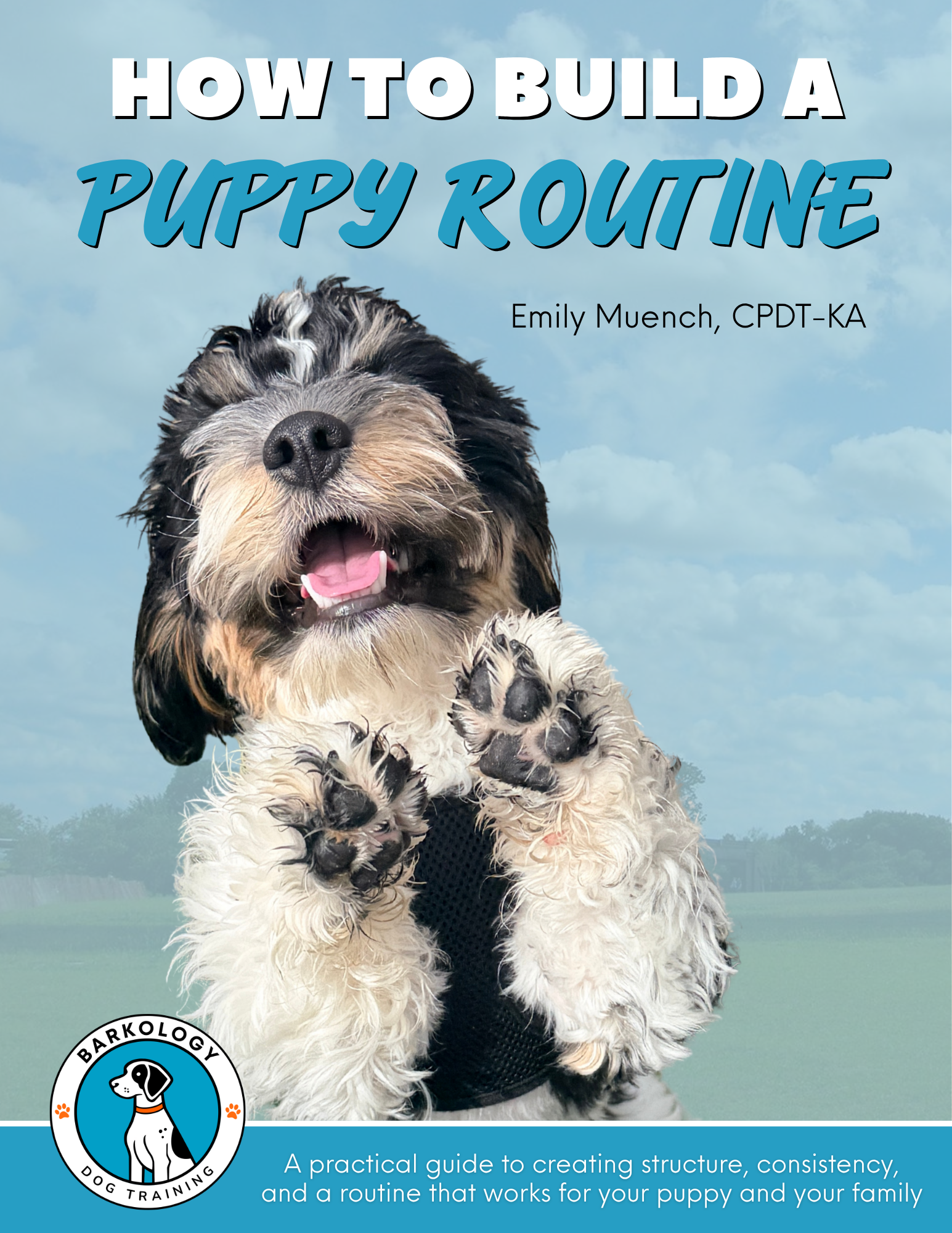 How to Build a Puppy Routine