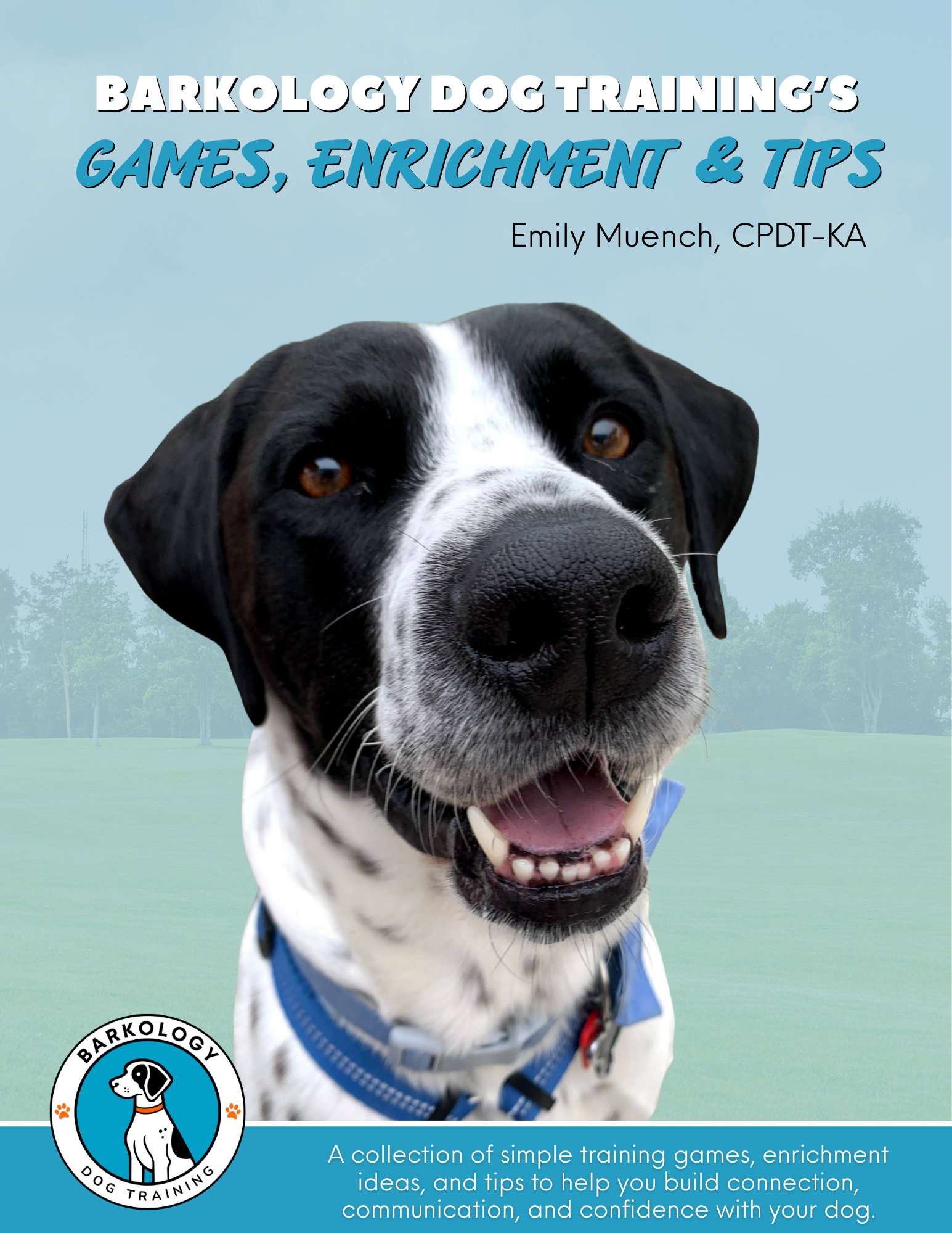 Games, Enrichment & Tips.png
