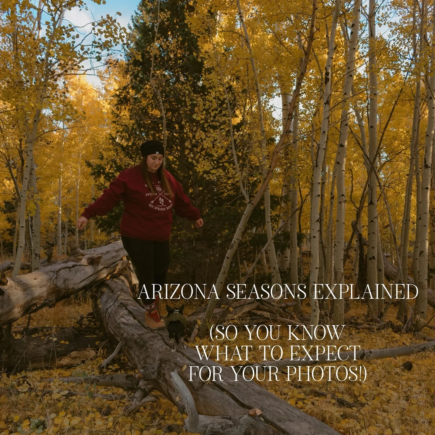 Let&rsquo;s talk about Arizona seasons 

One of the biggest things I want my clients to know: we don&rsquo;t get that &ldquo;lush green&rdquo; look in the desert during fall + winter. Our landscape is golden, earthy, and neutral most of the year.

He