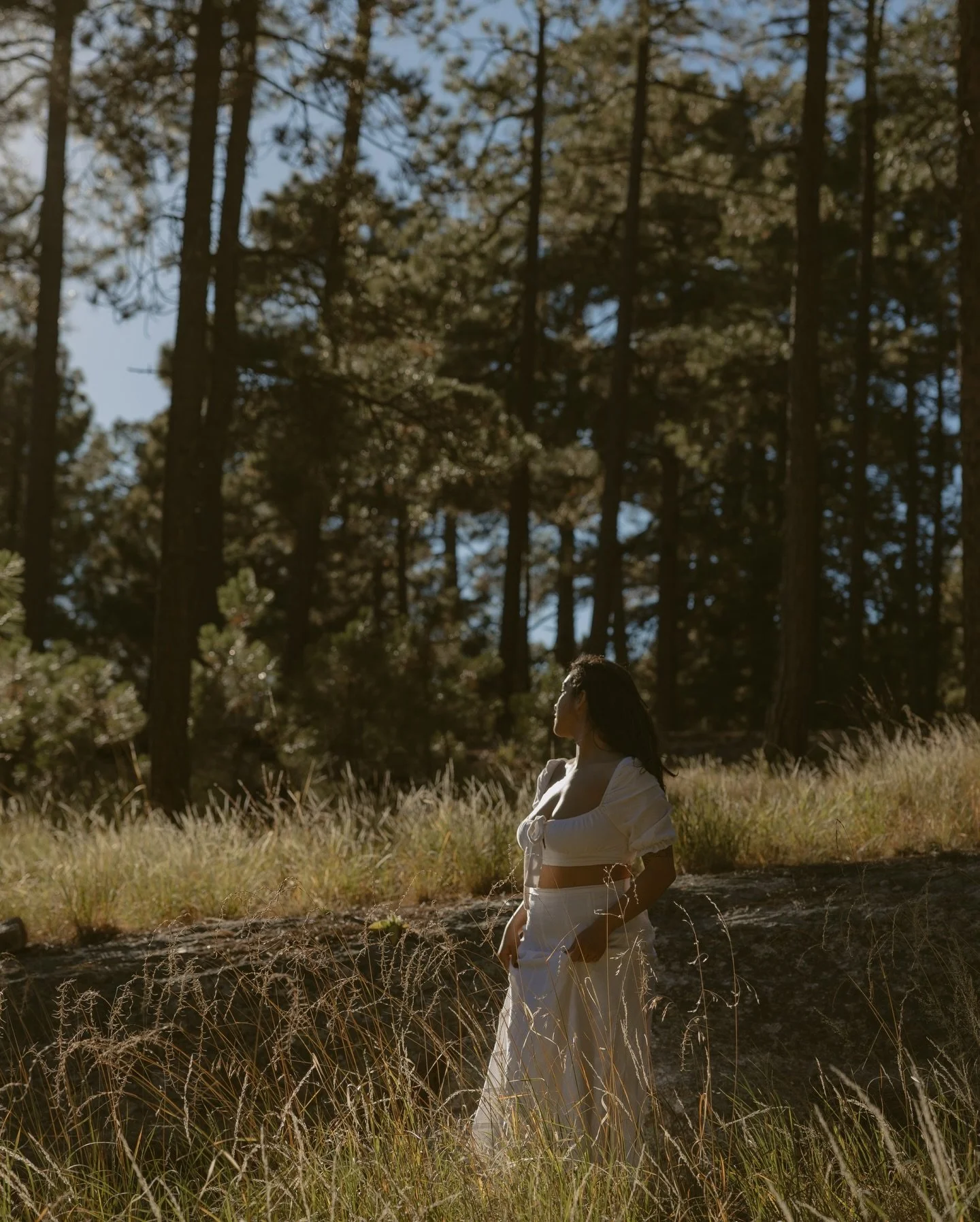 Meet me in the woods ✨