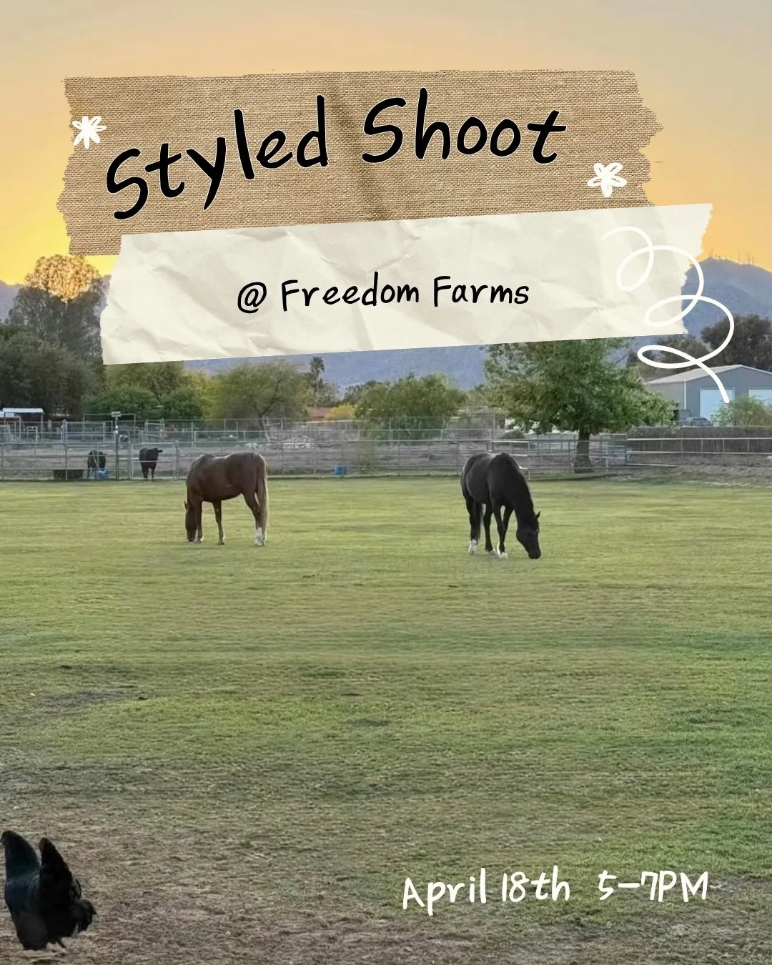 Photographers!
Join Us for a fun styled shoot at Freedom Farms!
April 18th 5-7pm
$130 per photographer 
3 Concepts
A truck, horses, highland cow, and more! 
We&rsquo;d love to have you!