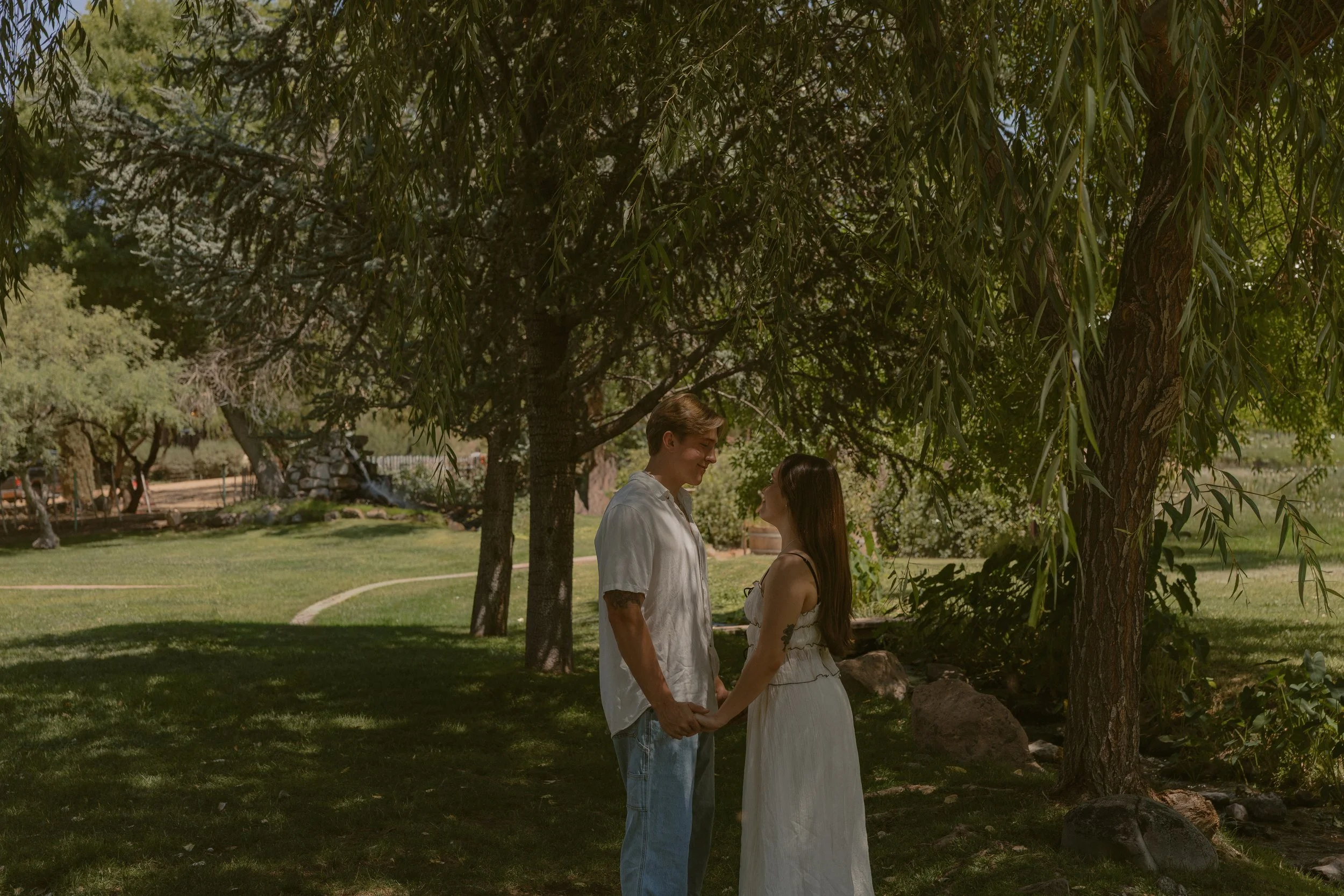 A couple holding hands and facing each other under a tree in a park on a sunny day.
