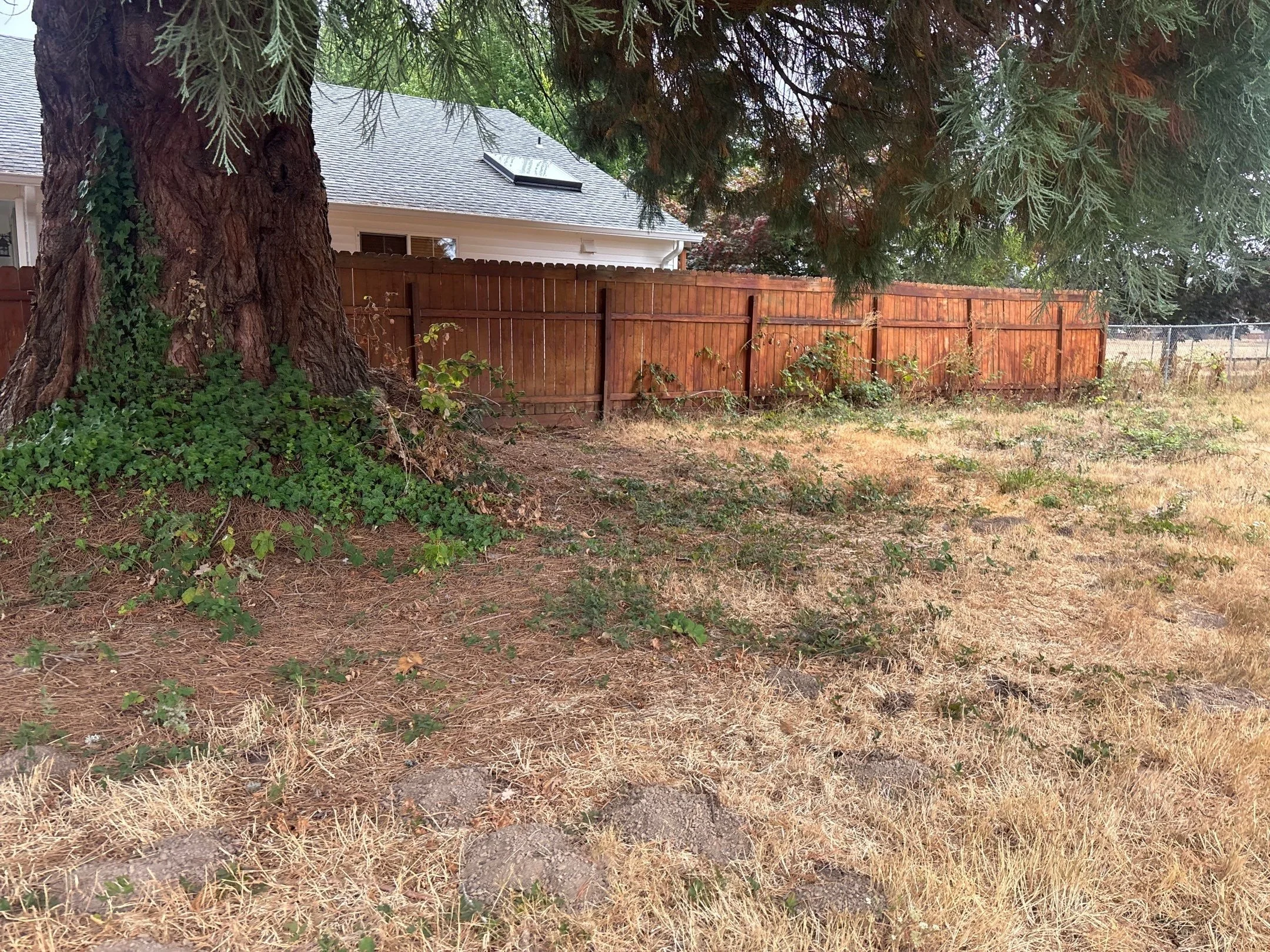 10-Sep 12 2025 12_47am-KxeW.jpg