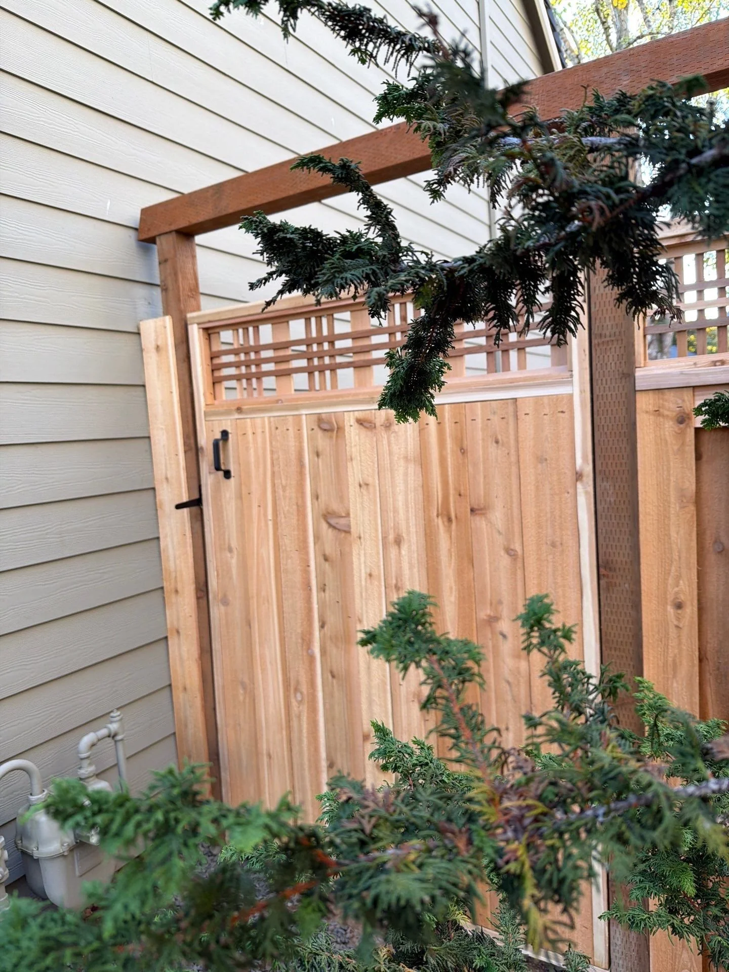 View of a backyard with a wooden fence, a lattice structure, and some greenery, including a tree branch in the foreground, with siding on a house on the left side.