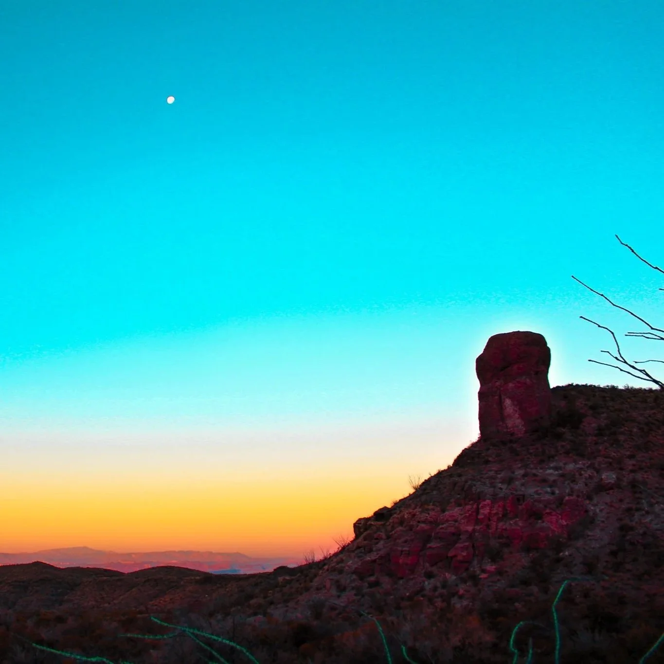 40 Miles Across Texas Desert