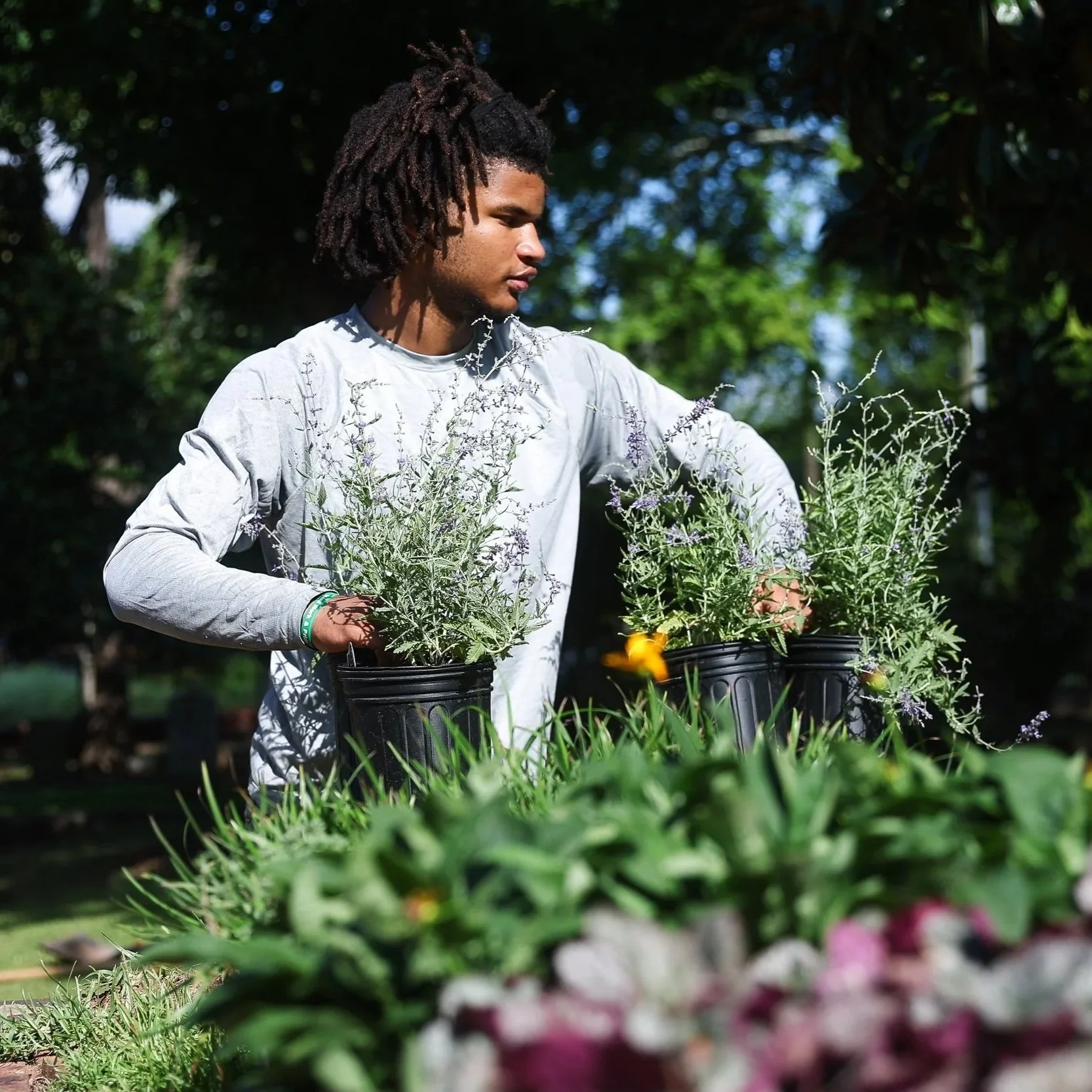 Young man with dreadlocks wearing a gray long-sleeve shirt holding potted lavender plants outdoors in a park.