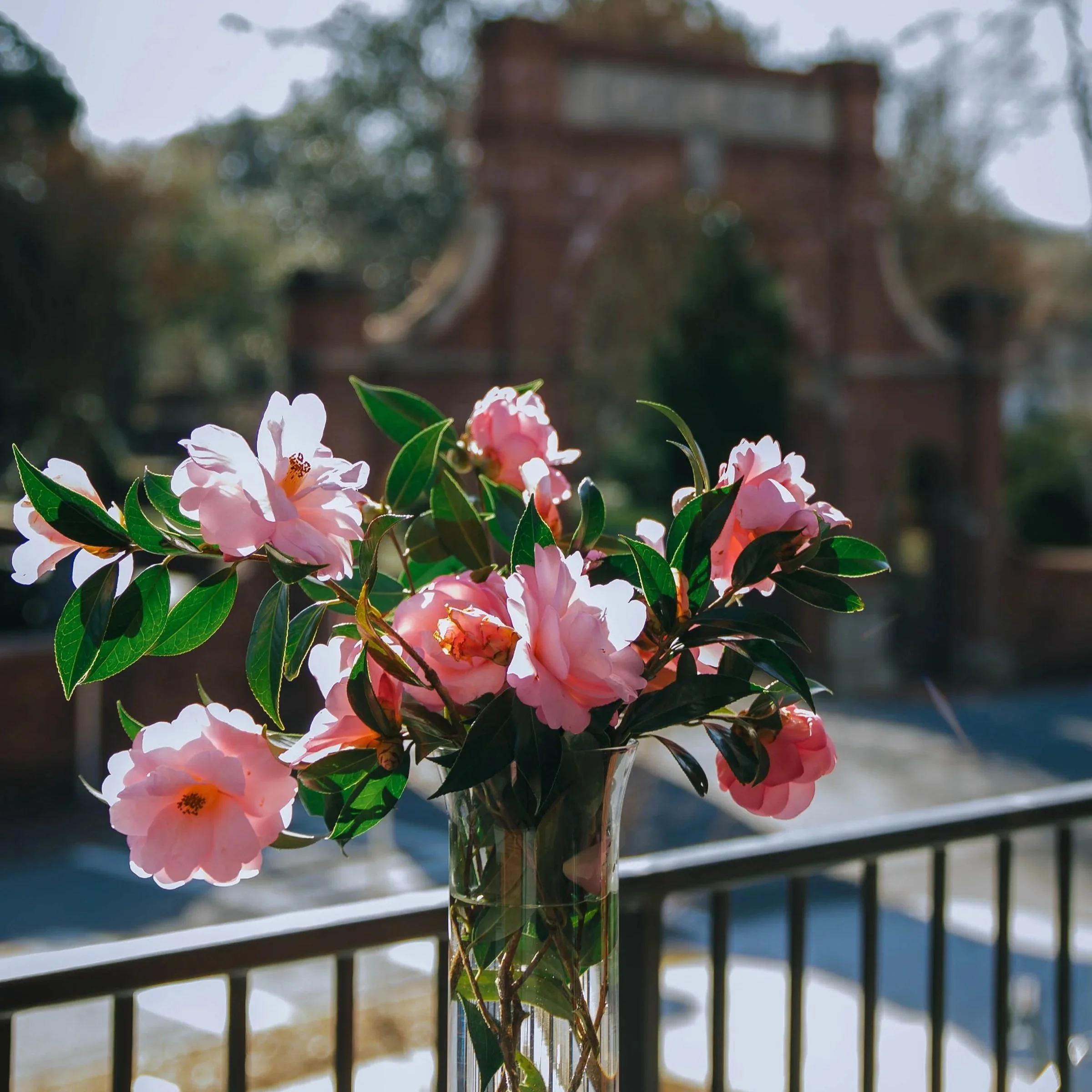 Your Spring Guide to Oakland