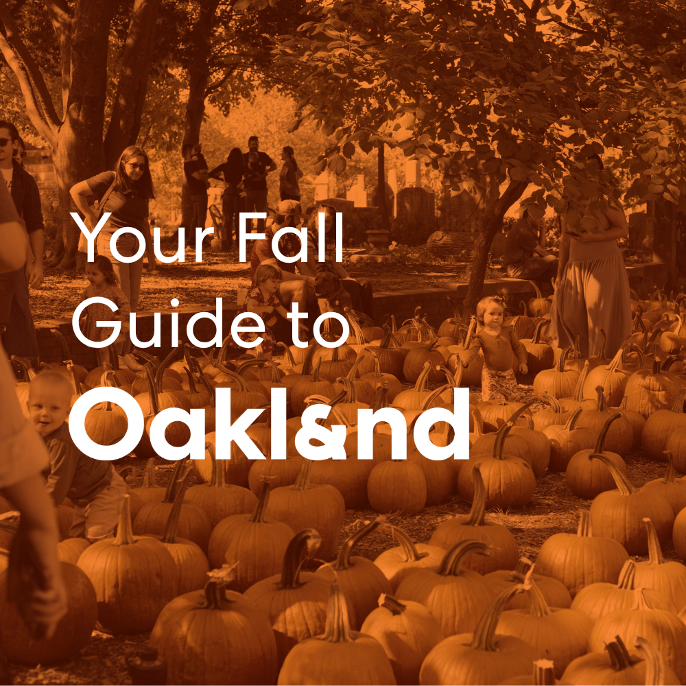 Your Fall Guide to Oakland