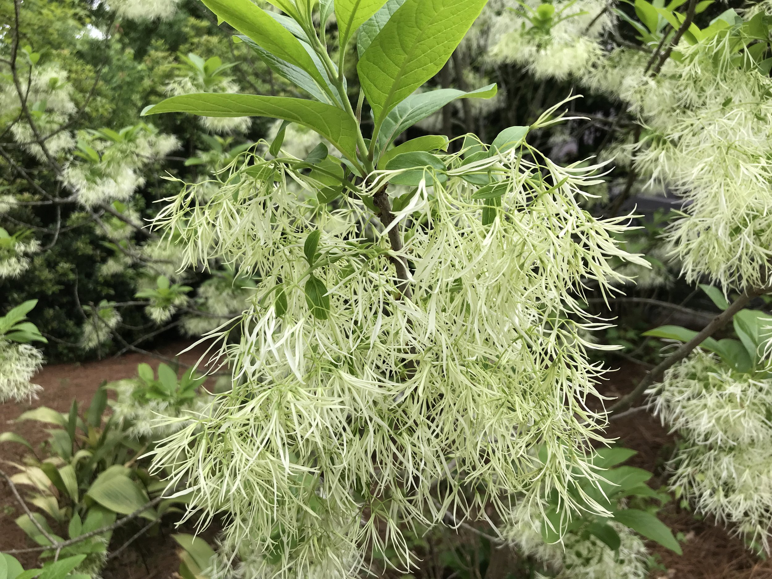 Homeschool Day: Earth Explorers