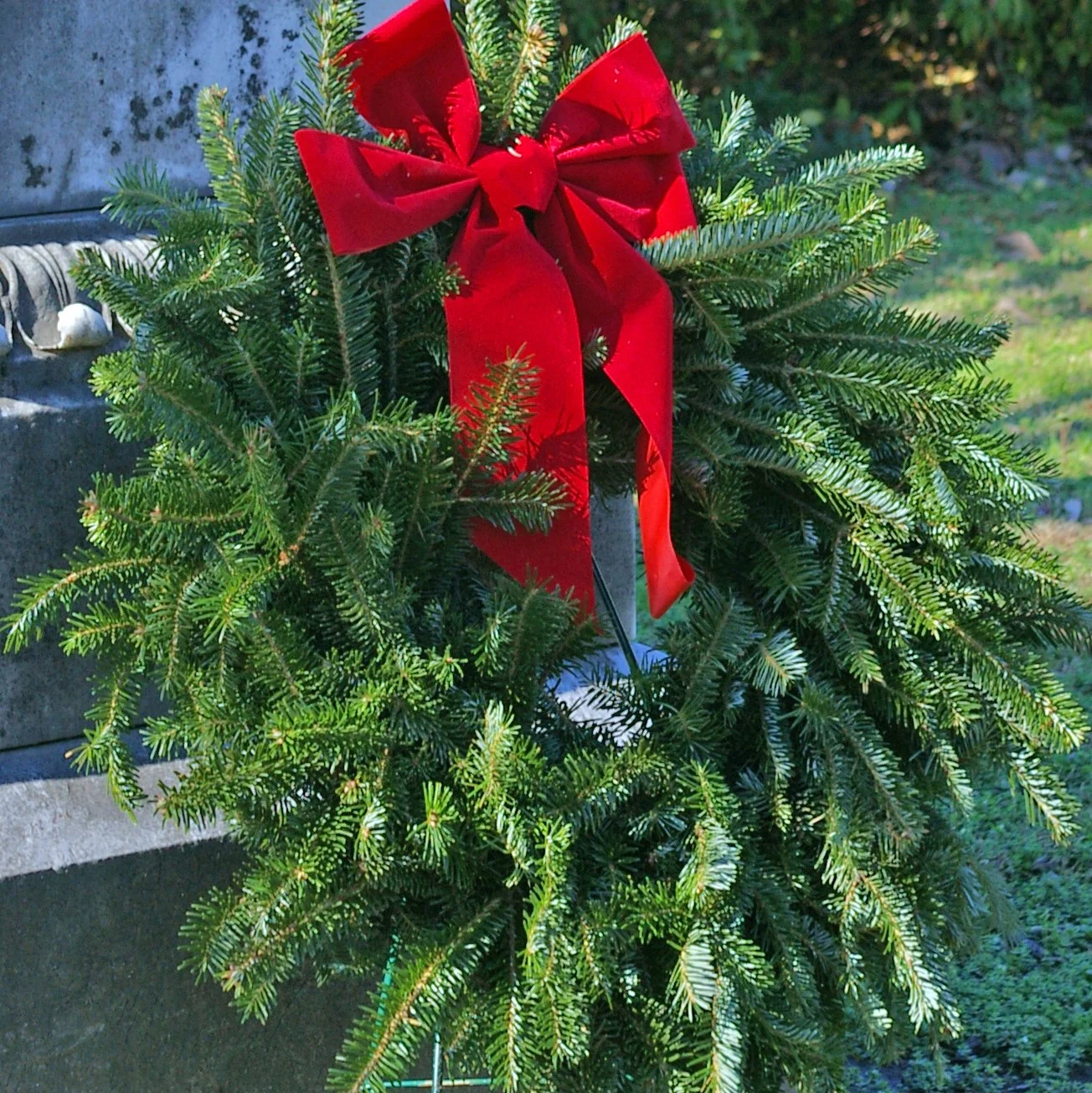 24 with std bow_cropped.jpg