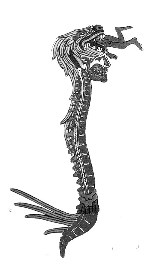 snake spine.jpg