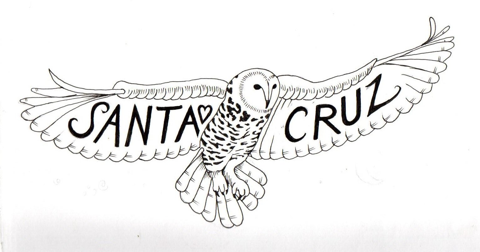 SC Owl. Pen on paper. 2023.