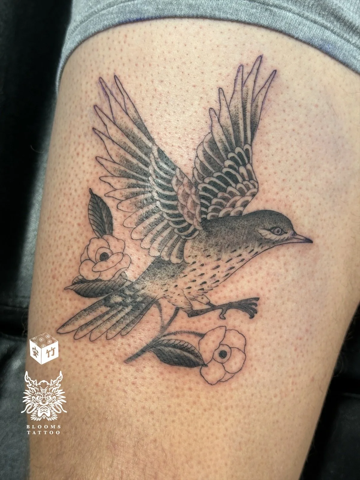 eZy Watermark_23-12-2025_12-58-10-9040PM.JPG