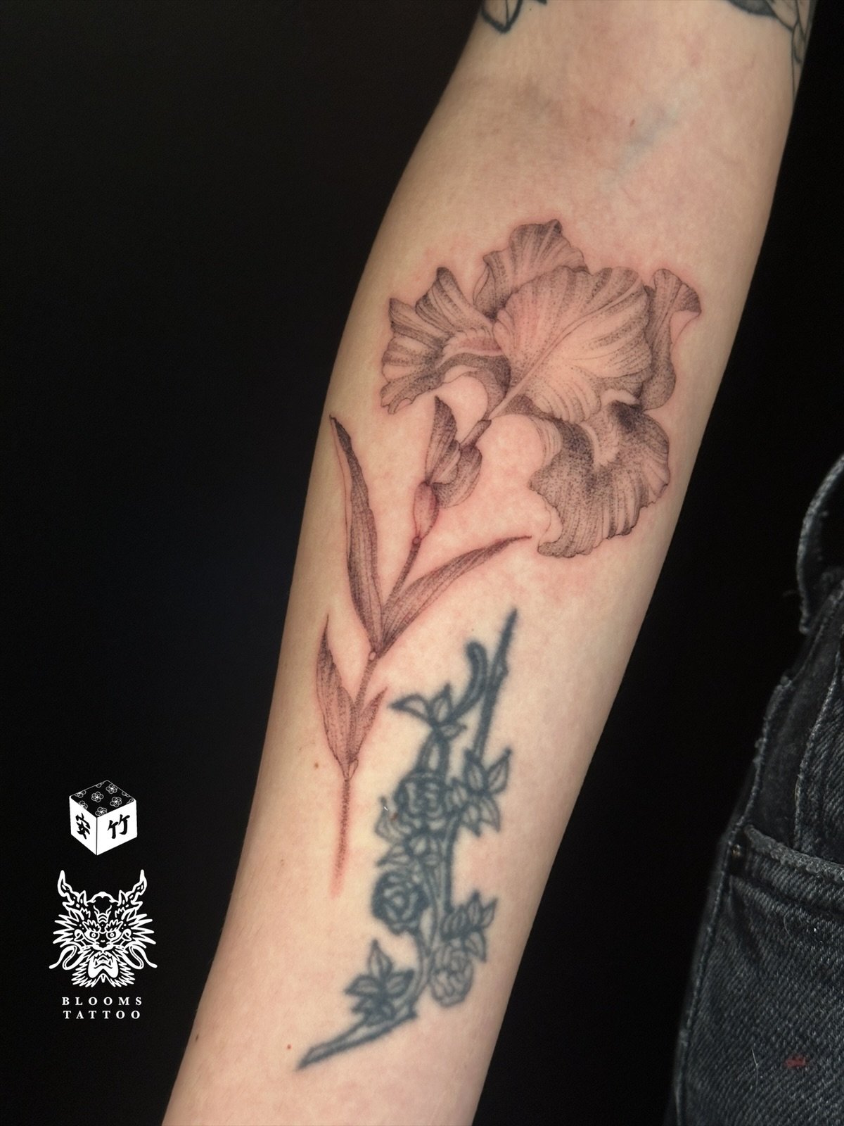 eZy Watermark_22-12-2025_11-23-42-6260AM.JPG