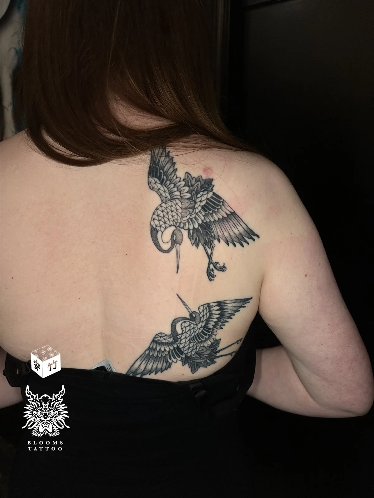 eZy Watermark_10-12-2025_05-09-44-1880PM.JPG